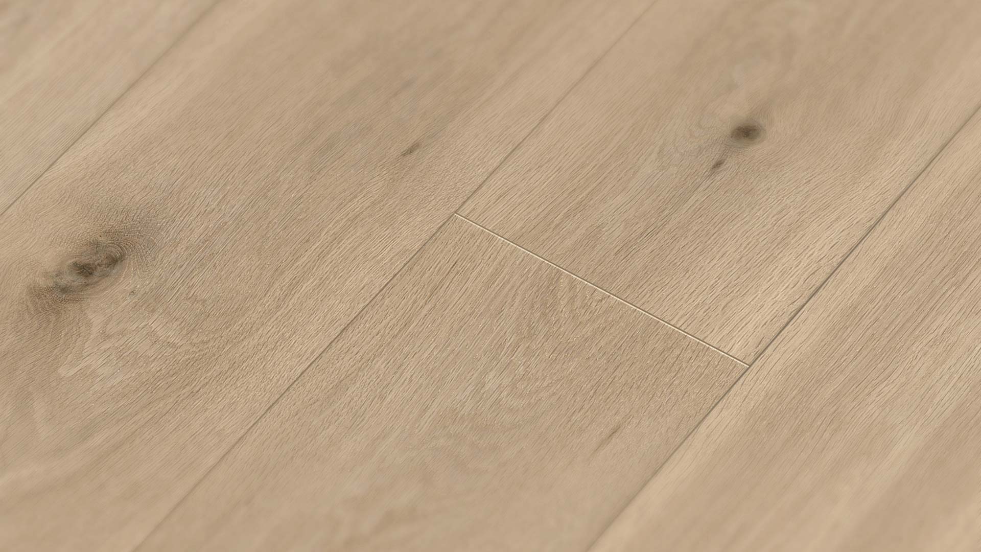 Oak Florence — ETM