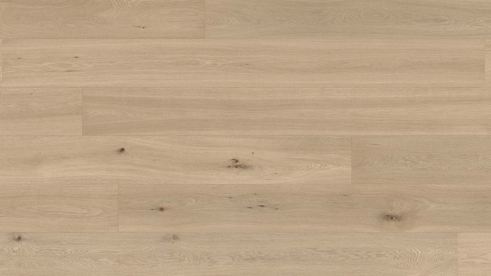 Oak Florence — ETM