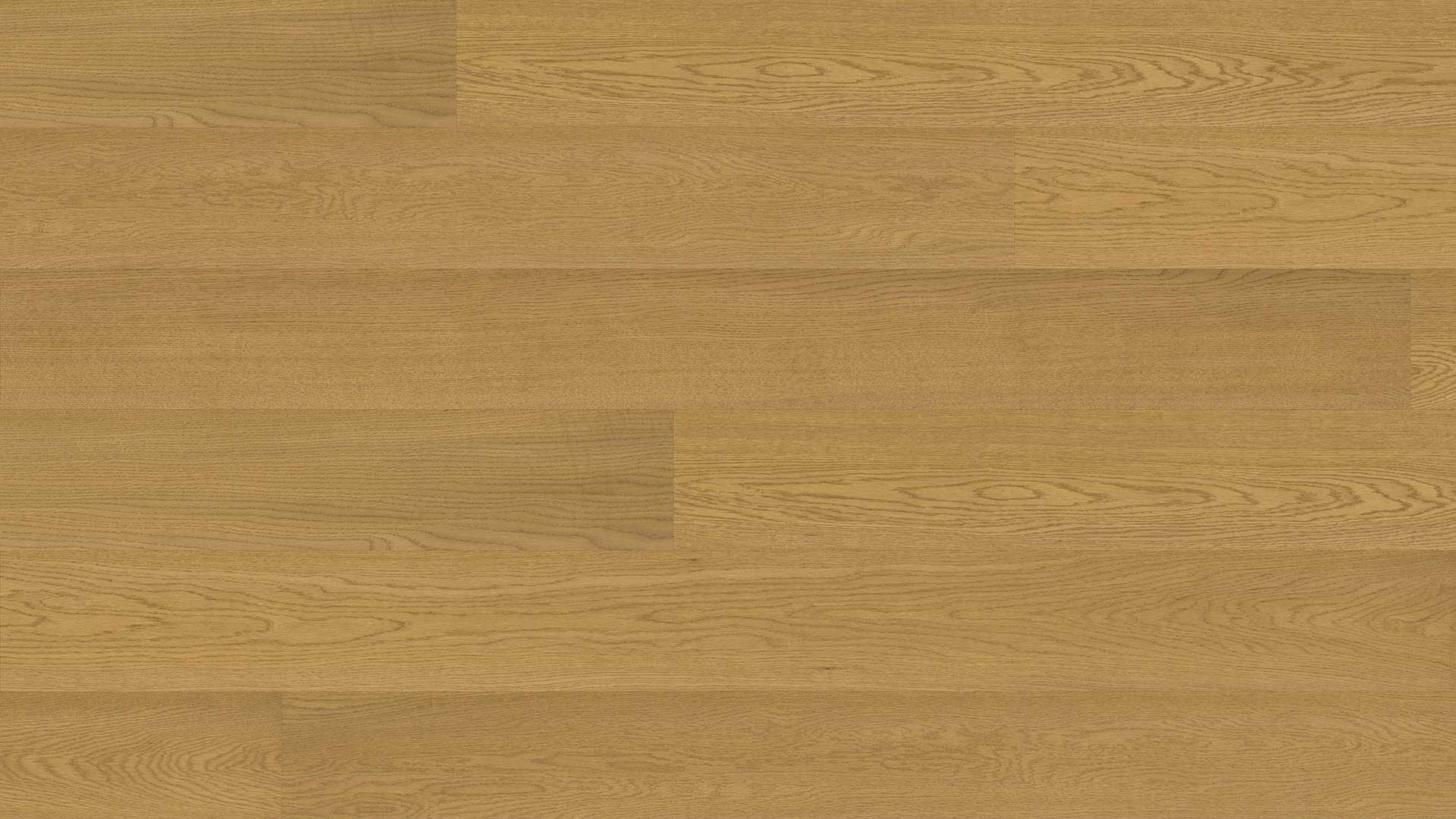Oak Hazel — ETM