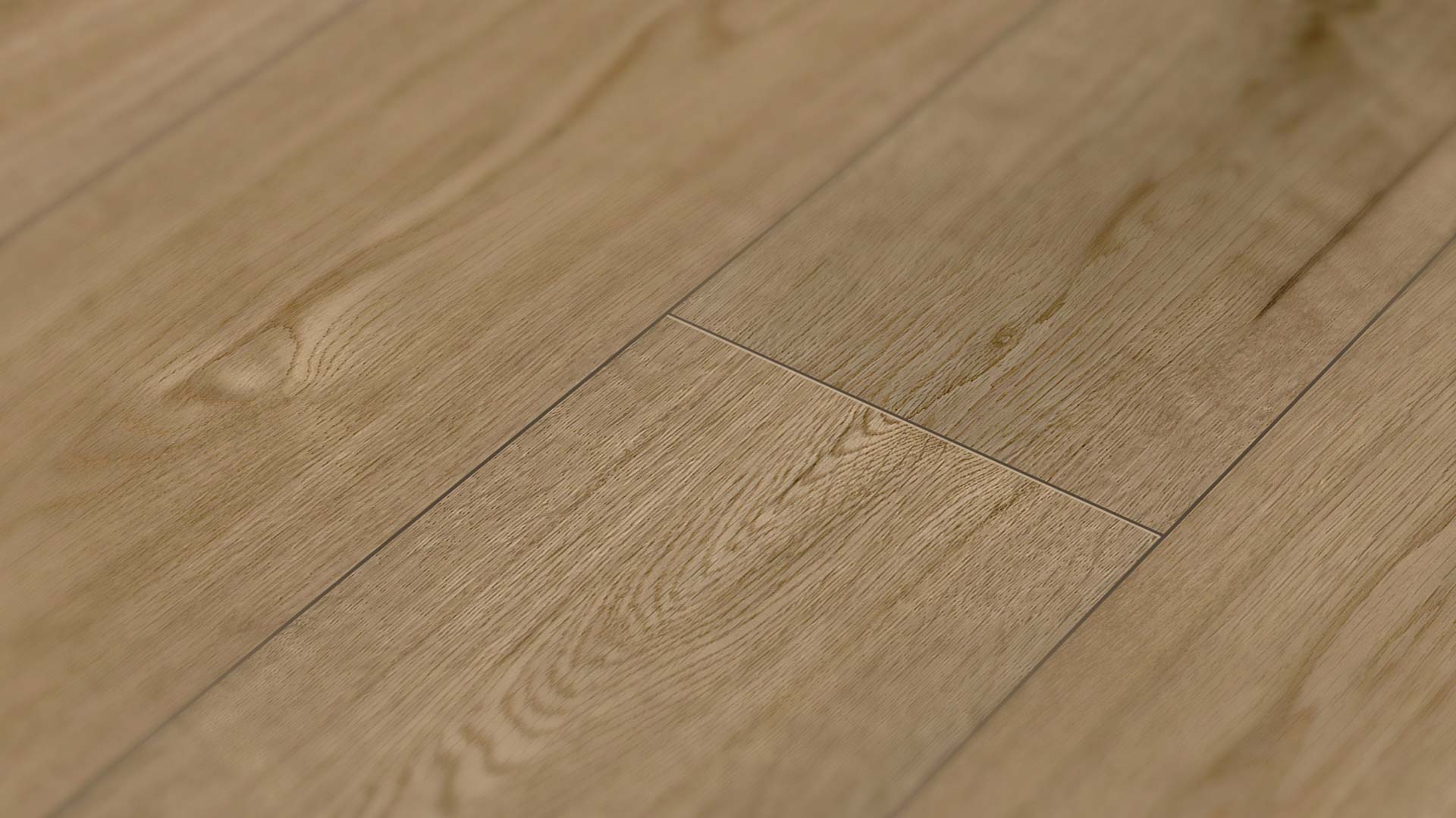 Oak Lisbon — ETM