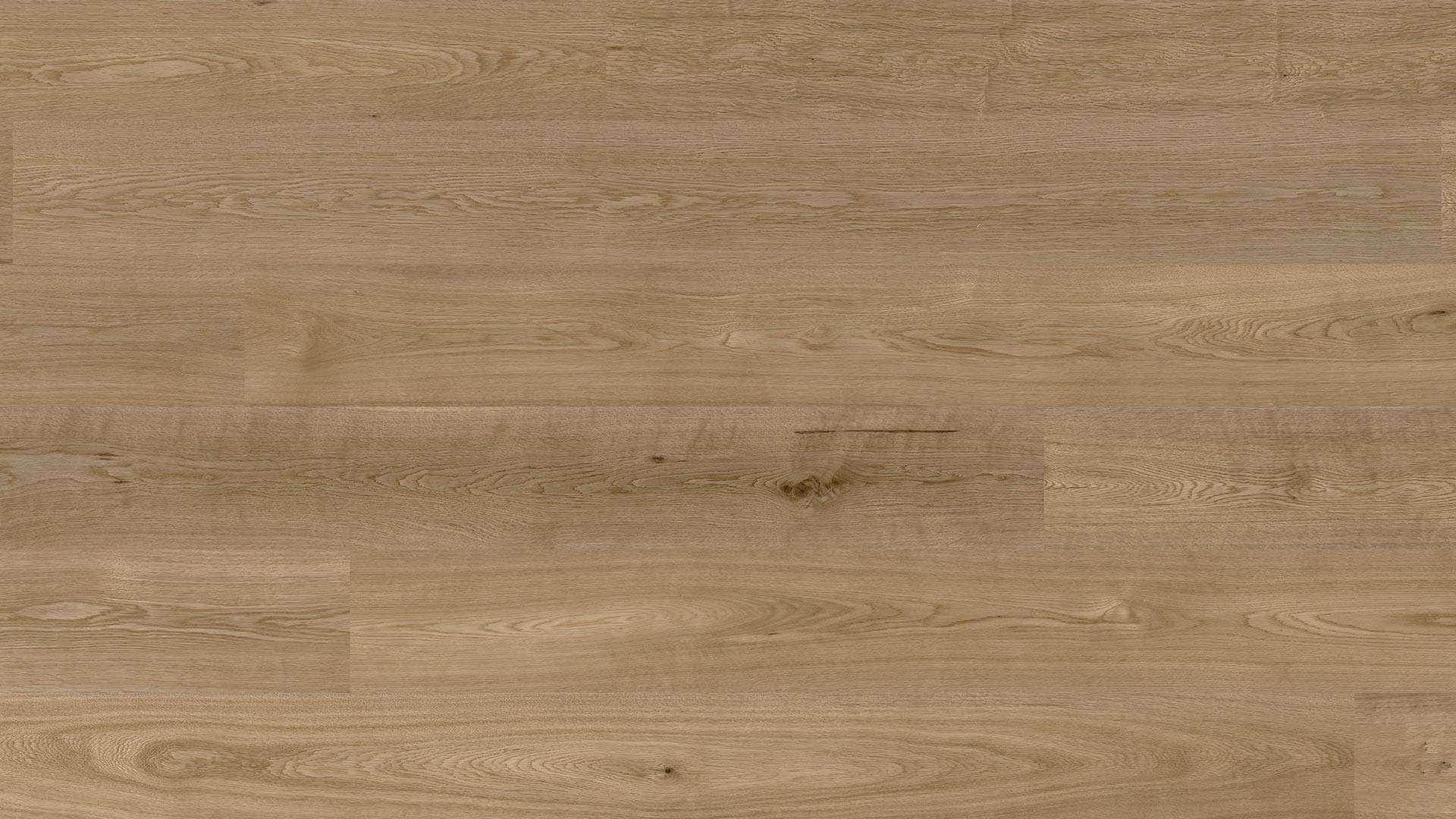 Oak Lisbon — ETM