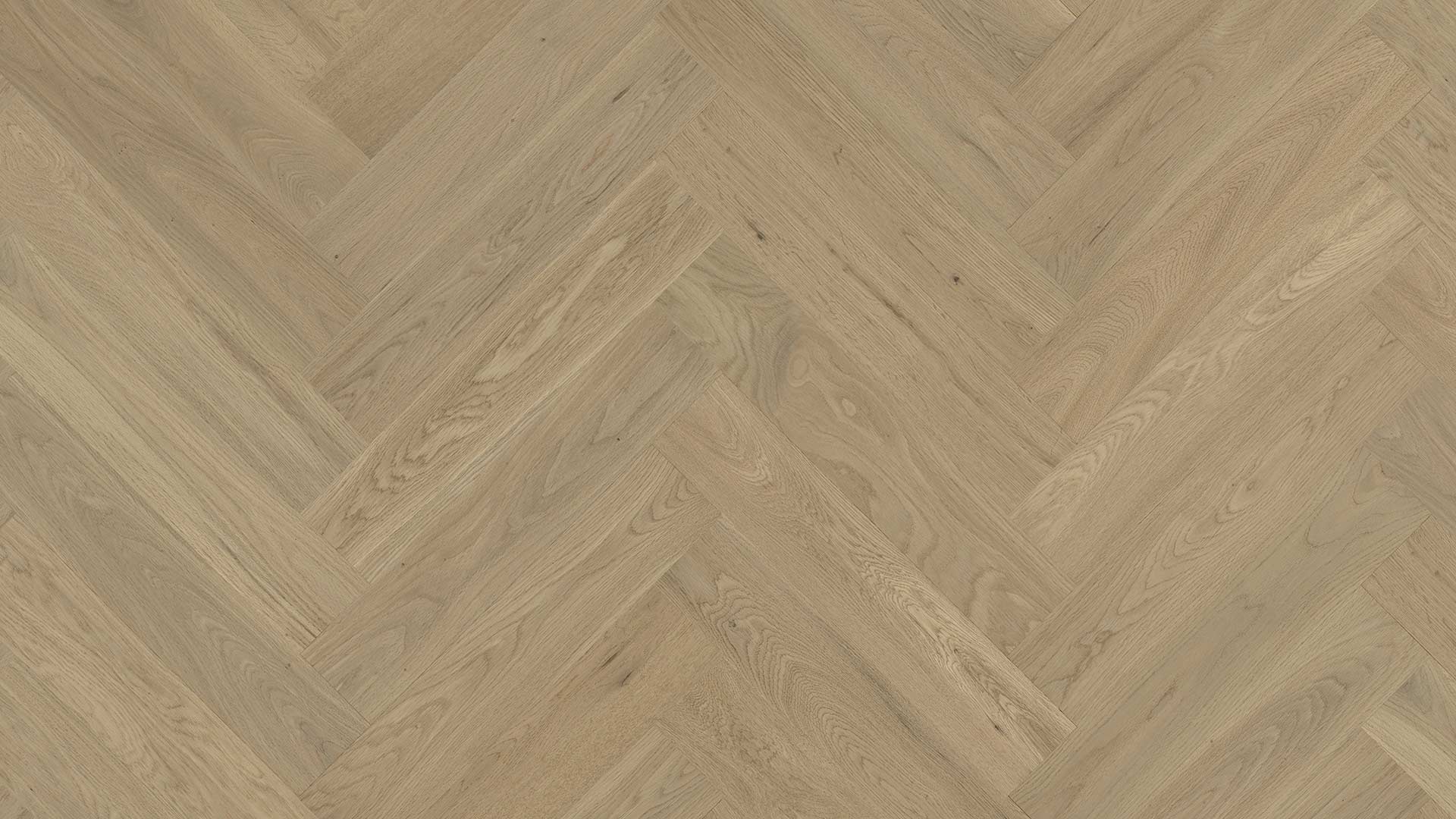 Oak Marseille — ETM