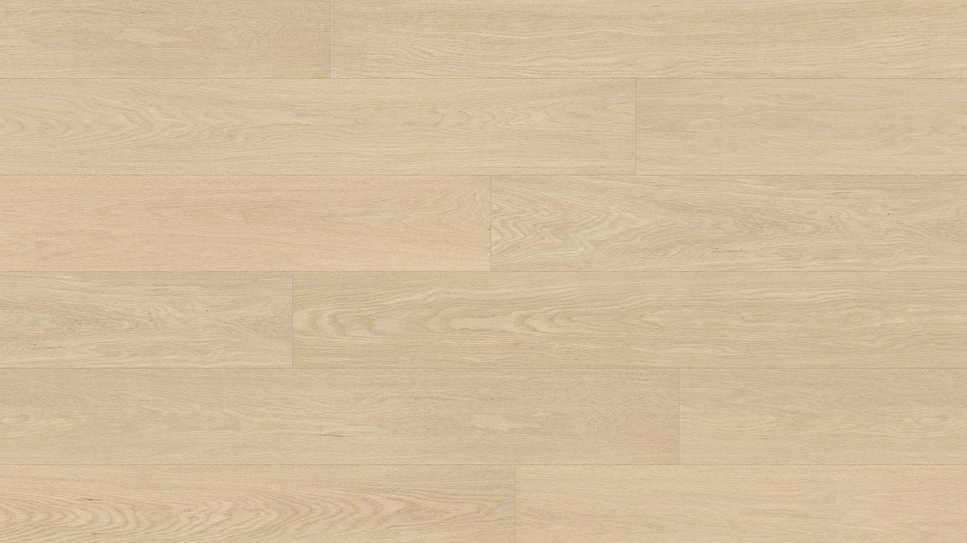Oak Sandberg — ETM