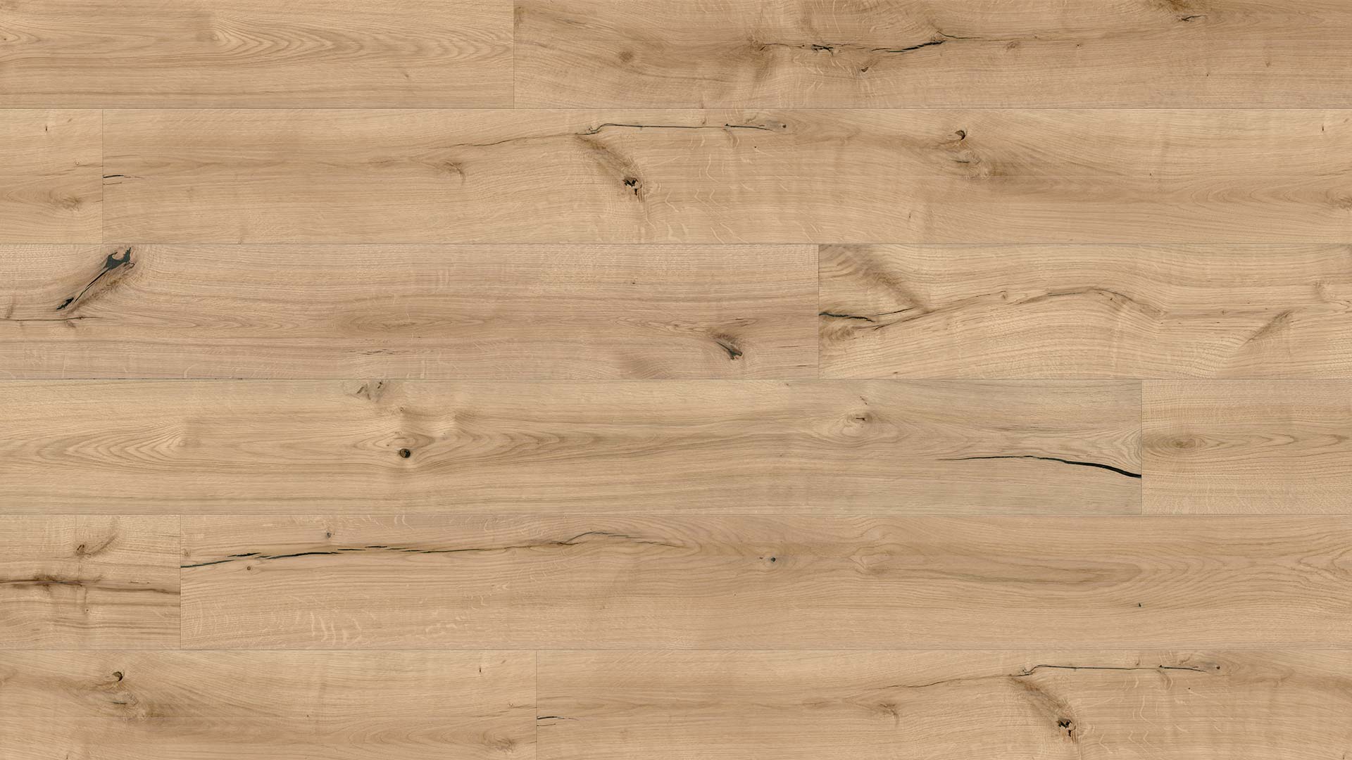 Oak Santa Cruz — ETM