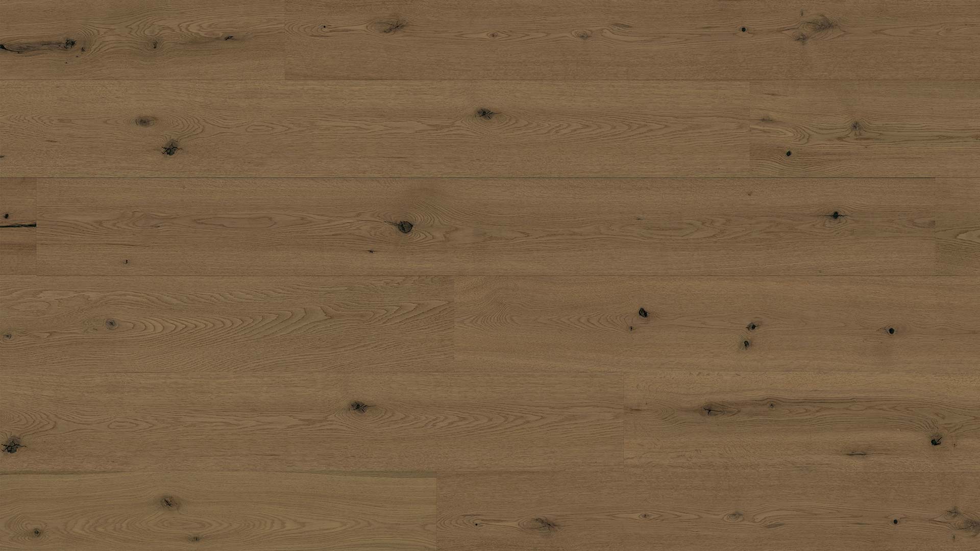 Oak Tuscany — ETM