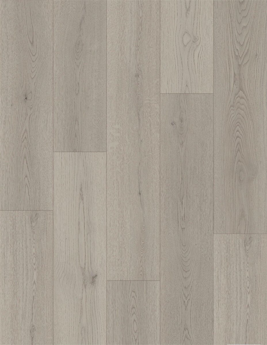 Champagne — Floortek