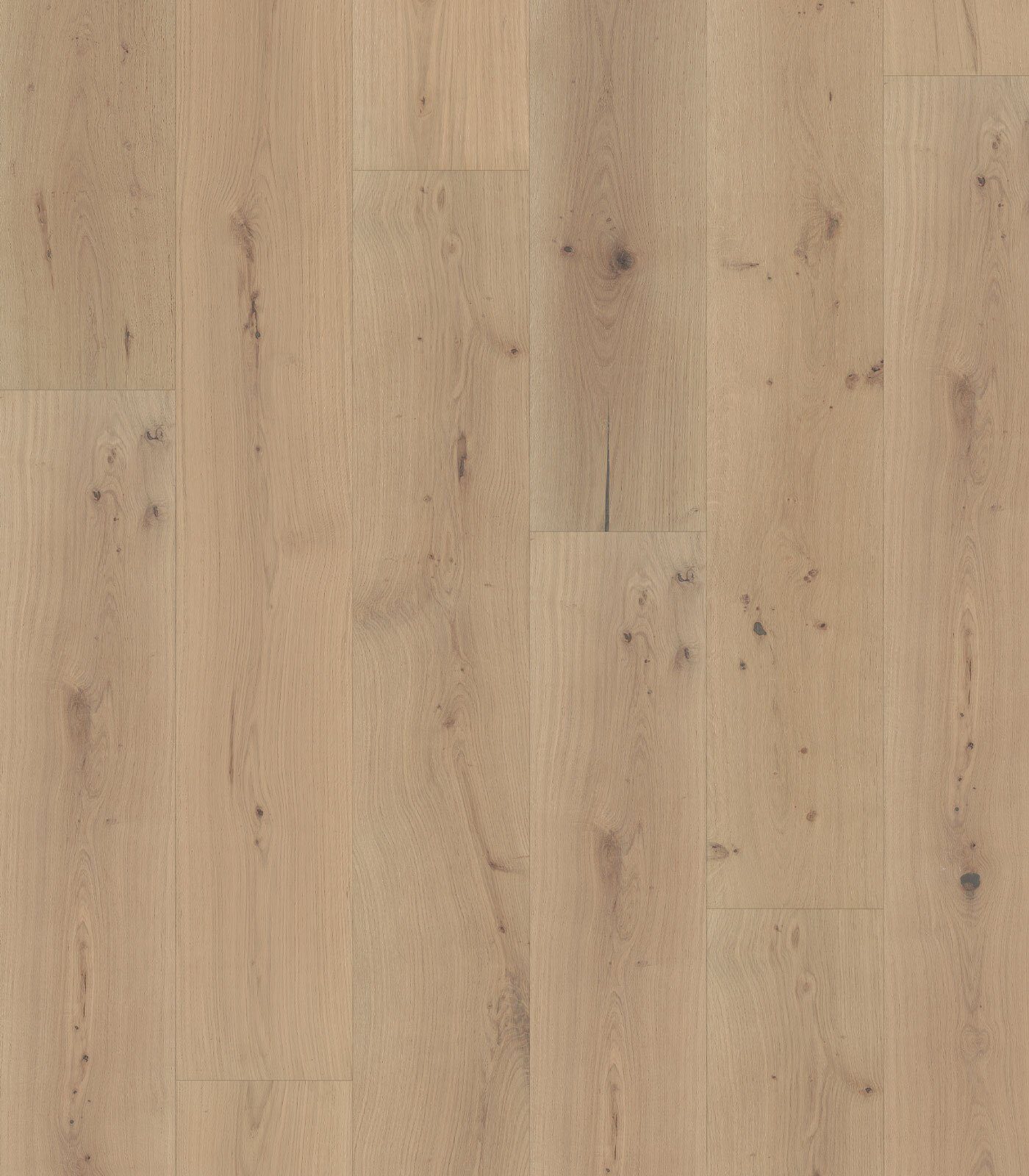 Elbe — Floortek