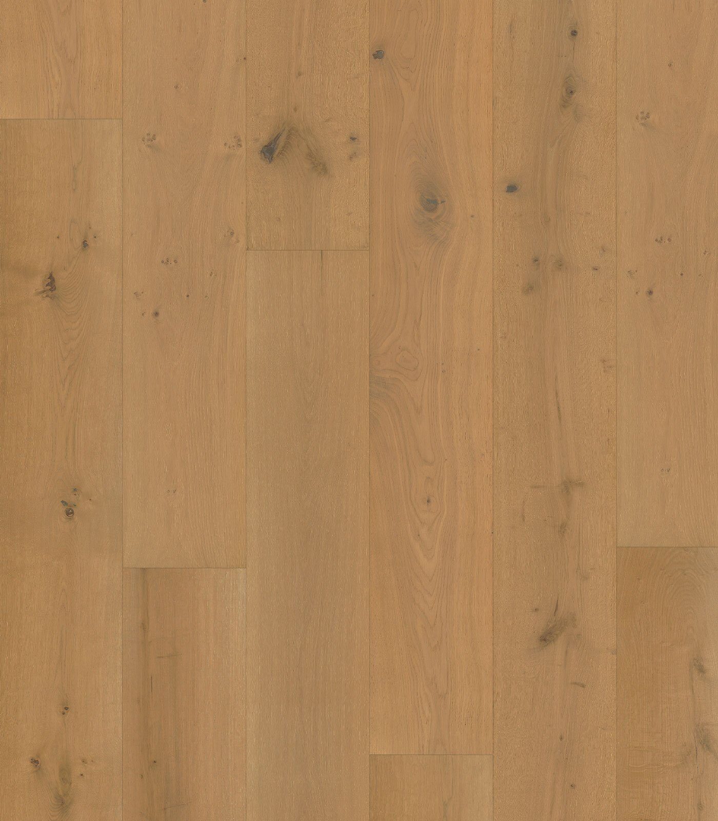 Rhine — Floortek