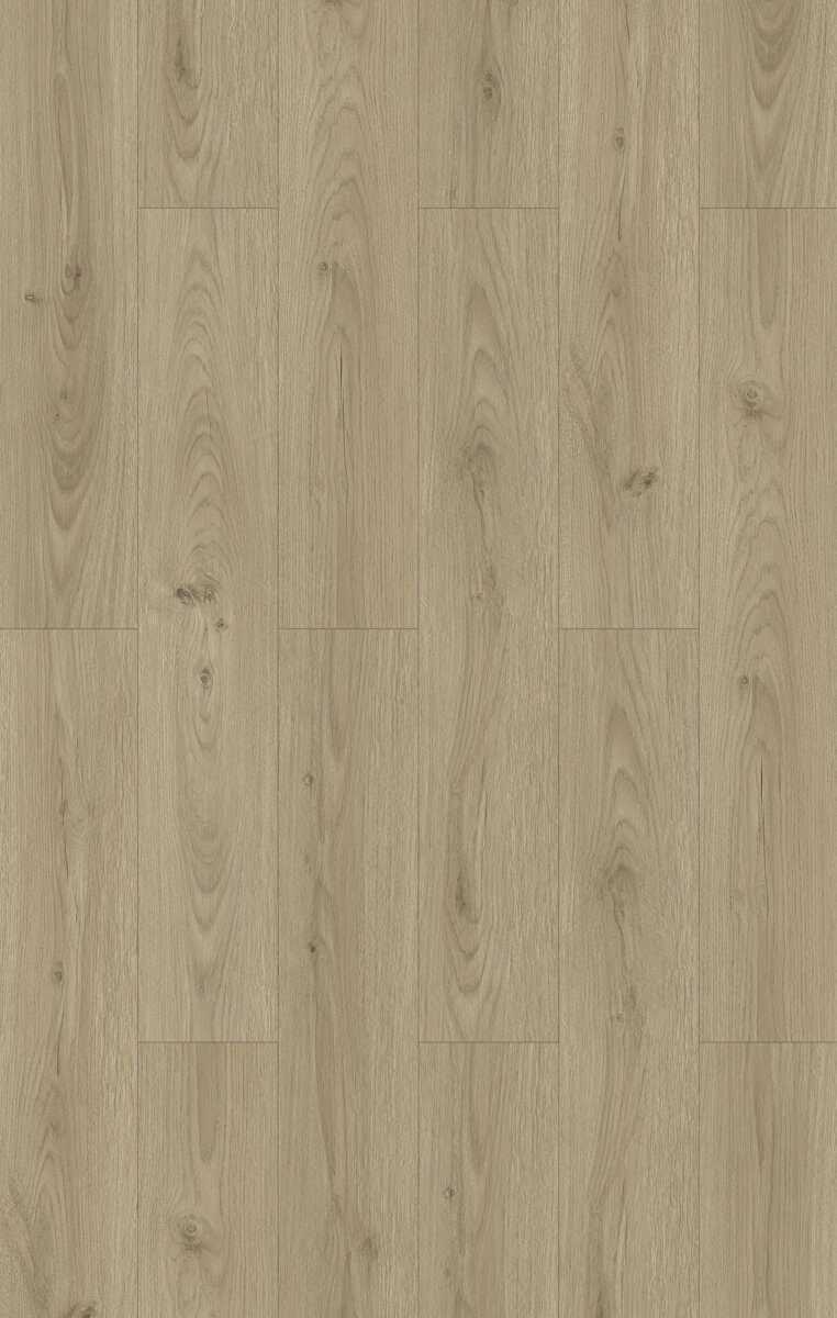 Sycamore — Floortek