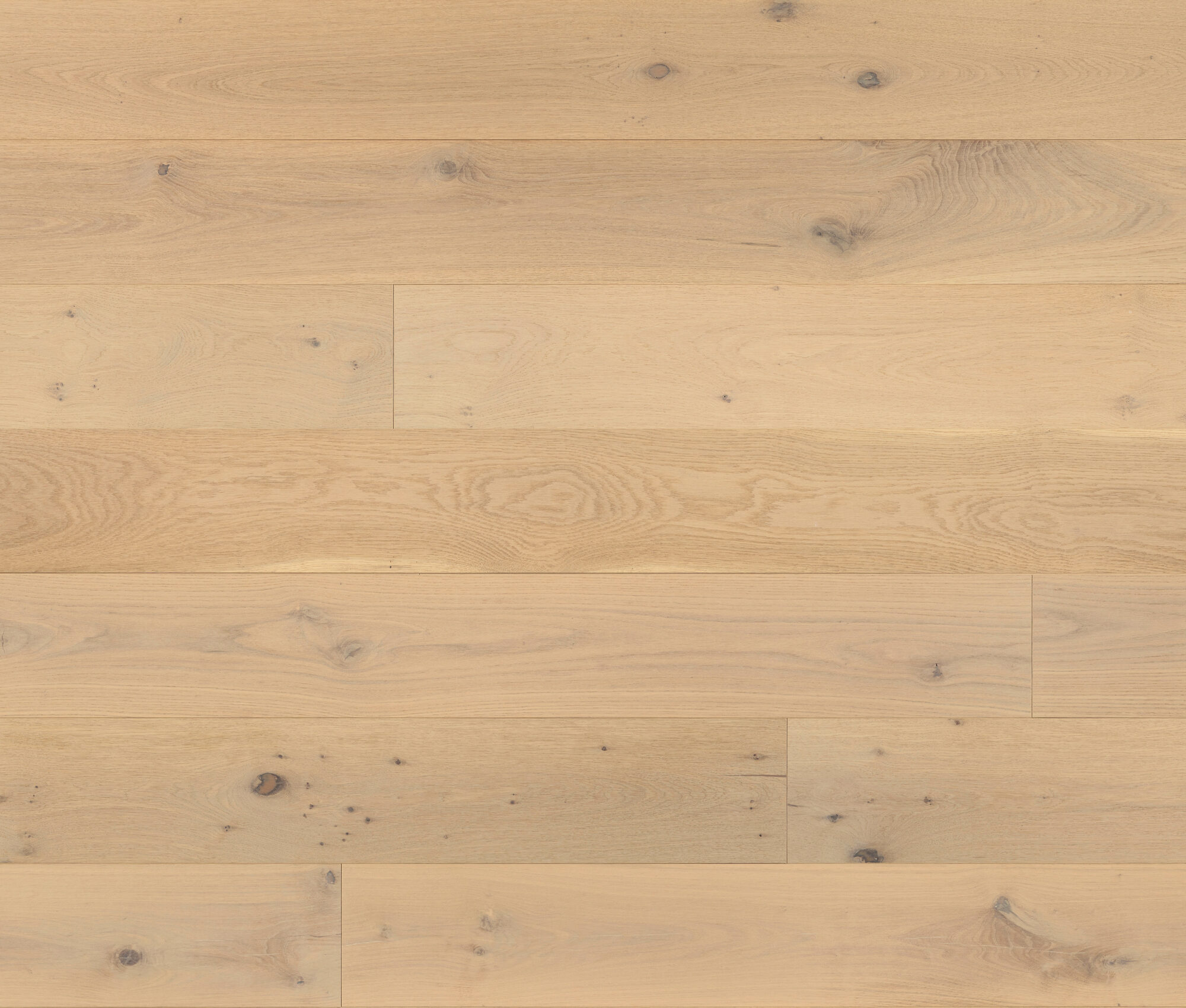 Alicante (Oak Alicante) — Lauzon
