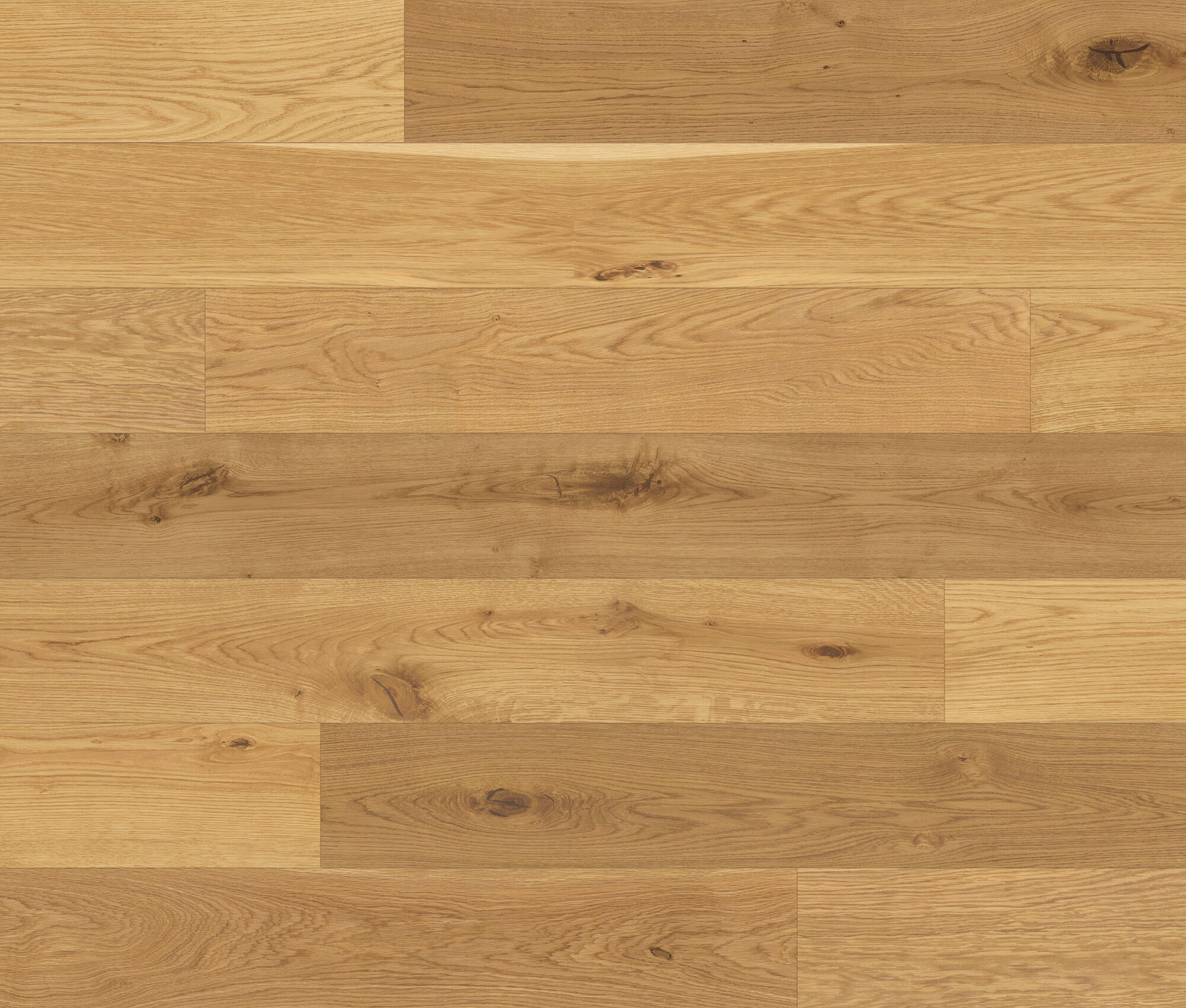 Napa (Oak Napa) — Lauzon