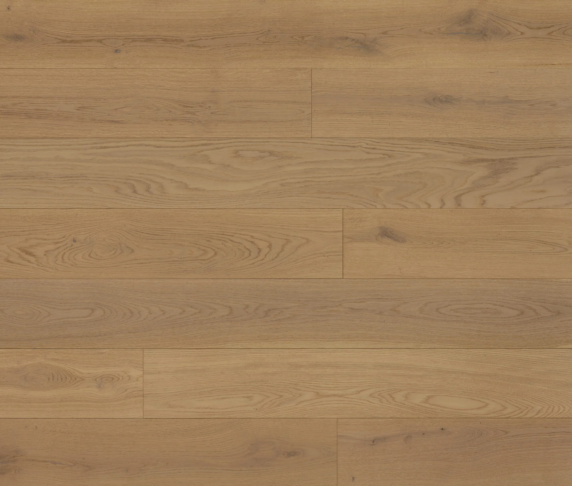 Astor (Oak Astor) — Lauzon