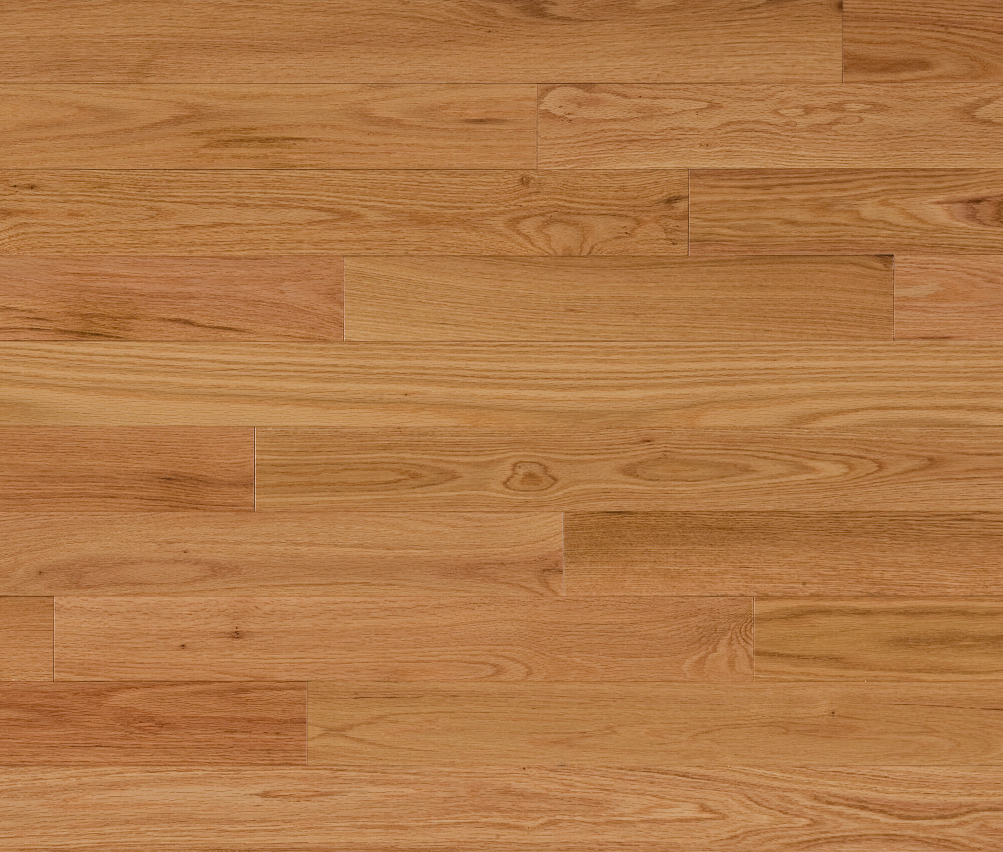 Chelsea (Red Oak) — Lauzon