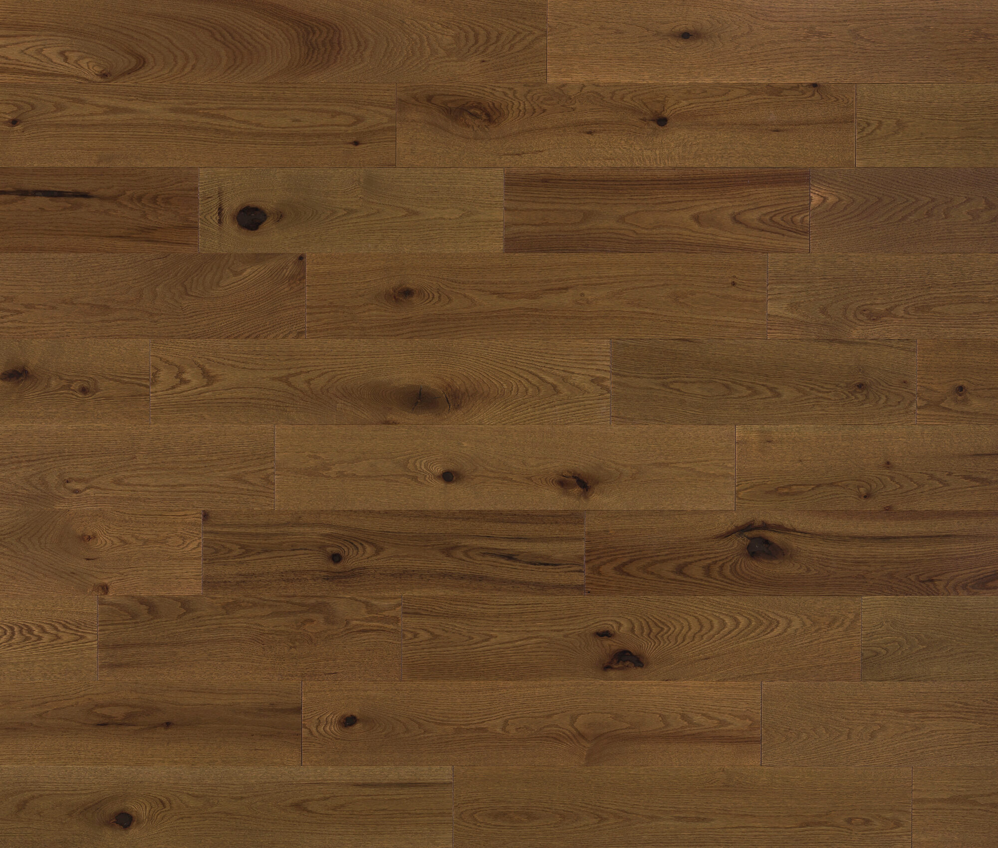 Harmonia (Red Oak) — Lauzon