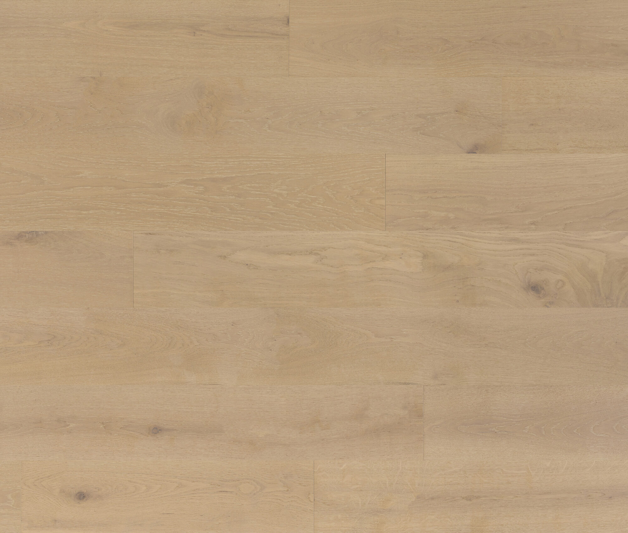 Medina (White Oak) — Lauzon