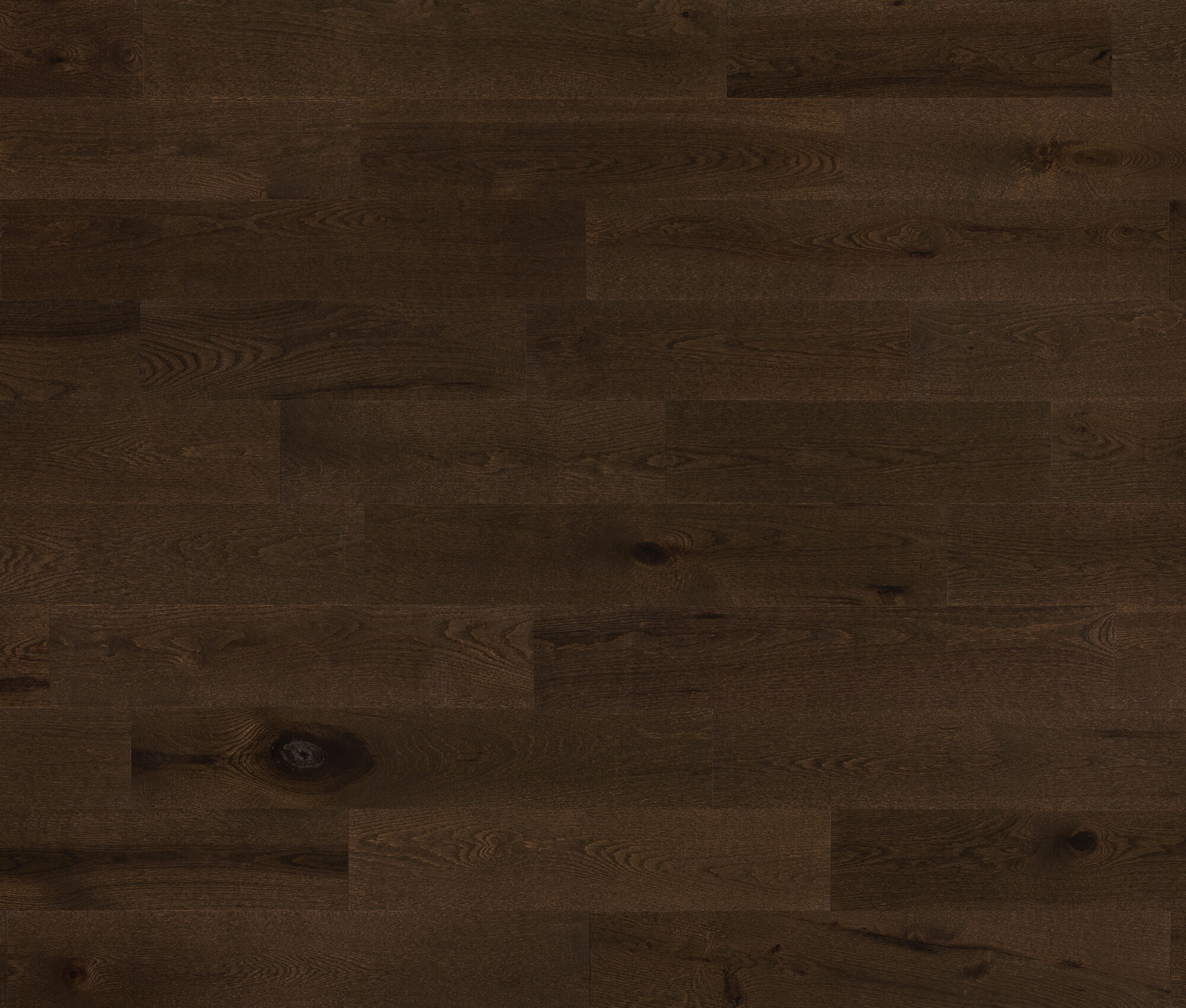 Melodia (Red Oak) — Lauzon