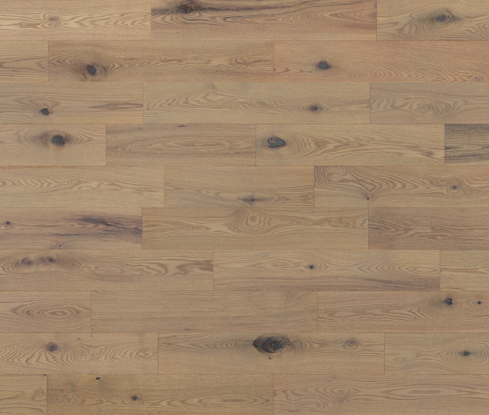Monte Carlo (Red Oak) — Lauzon