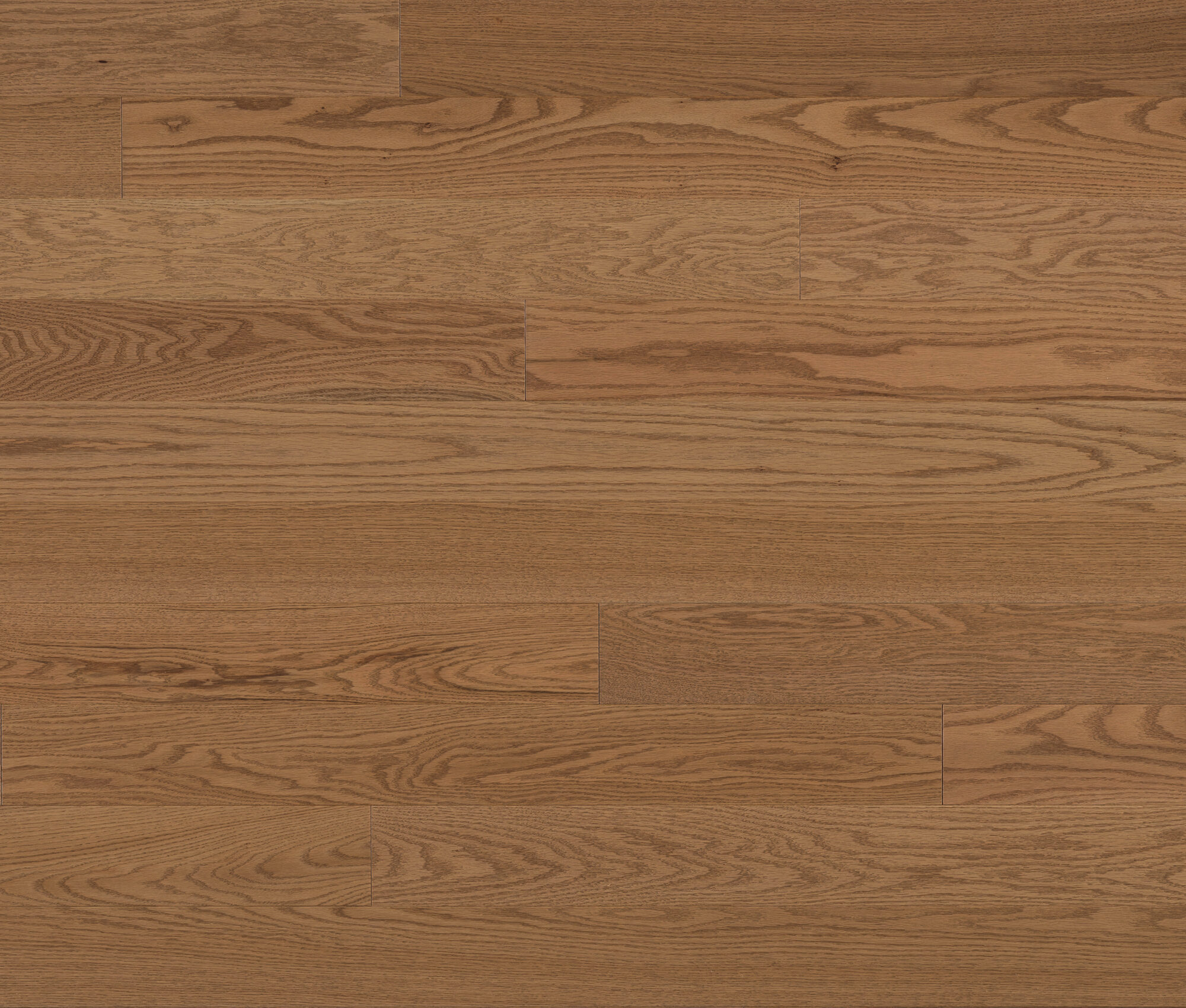 Moretti (Red Oak) — Lauzon