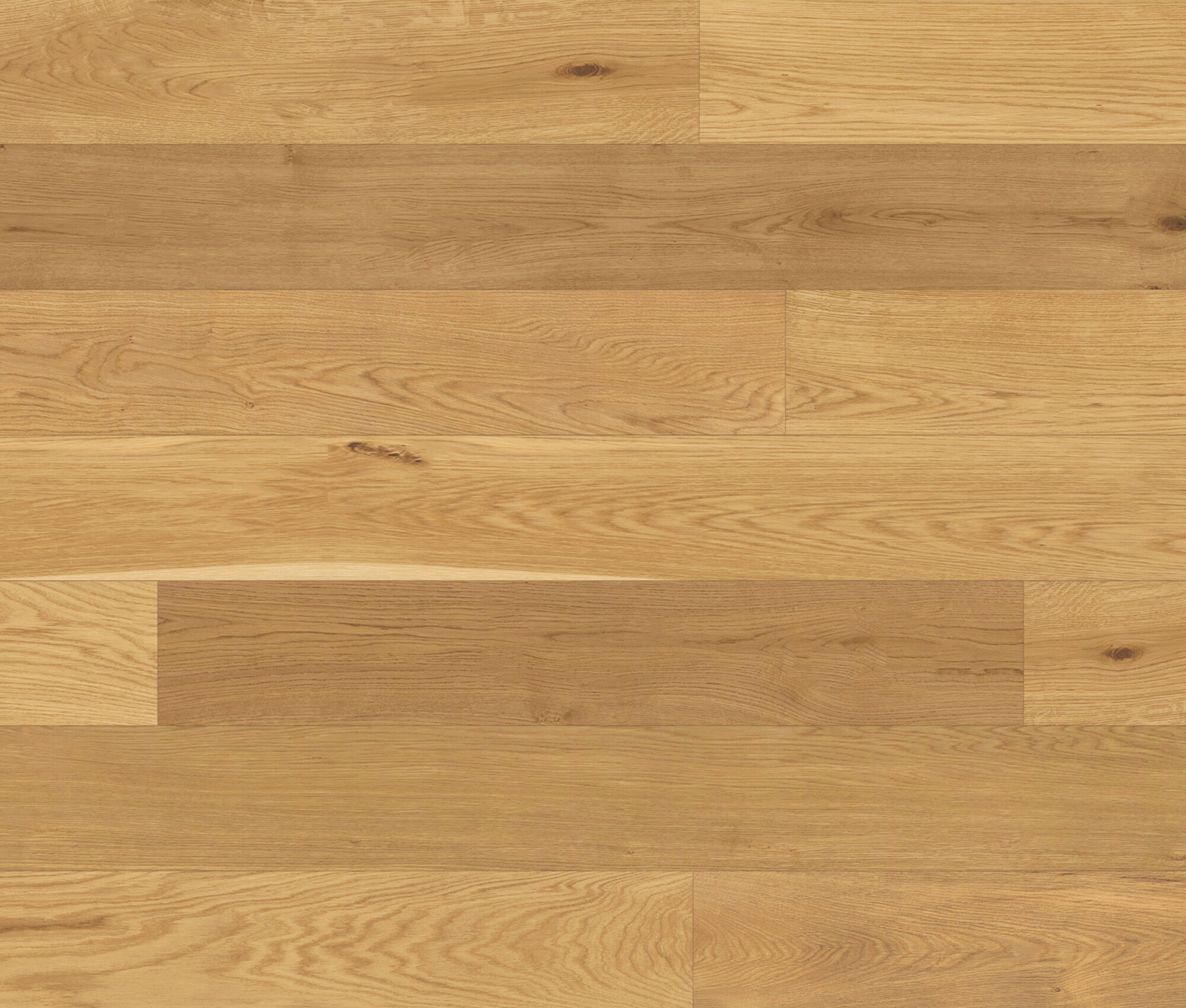 Napa (White Oak) — Lauzon
