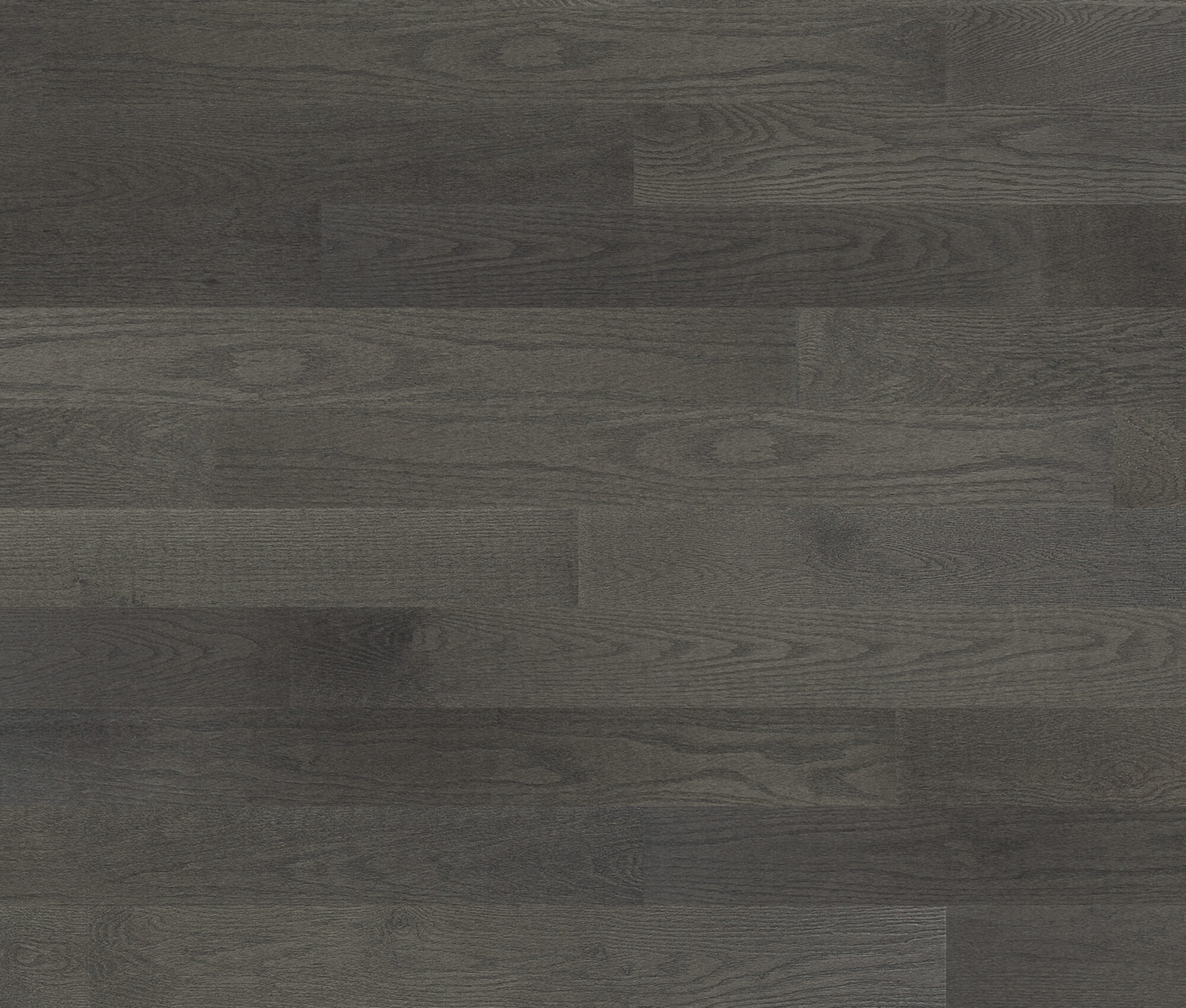 Tormenta (Red Oak) — Lauzon