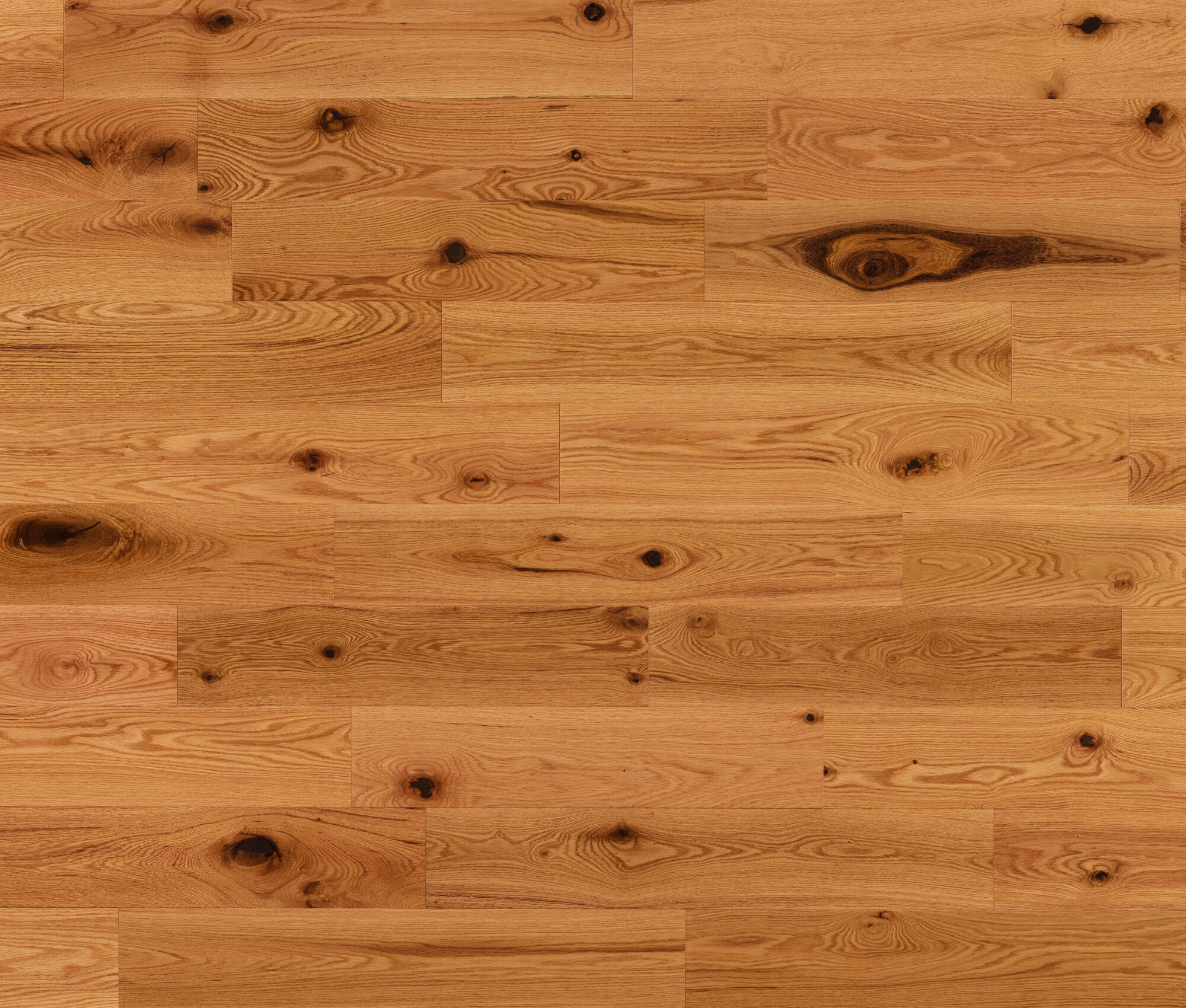 Trinity (Red Oak) — Lauzon