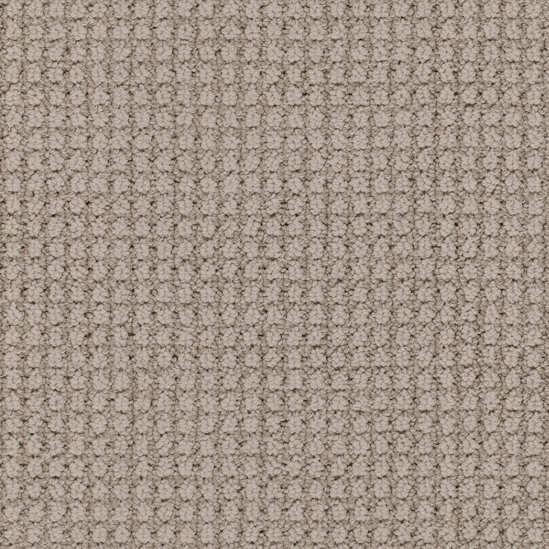 Veluxe by Masland — Carpet flooring · Canadian Flooring & Renovations Vancouver