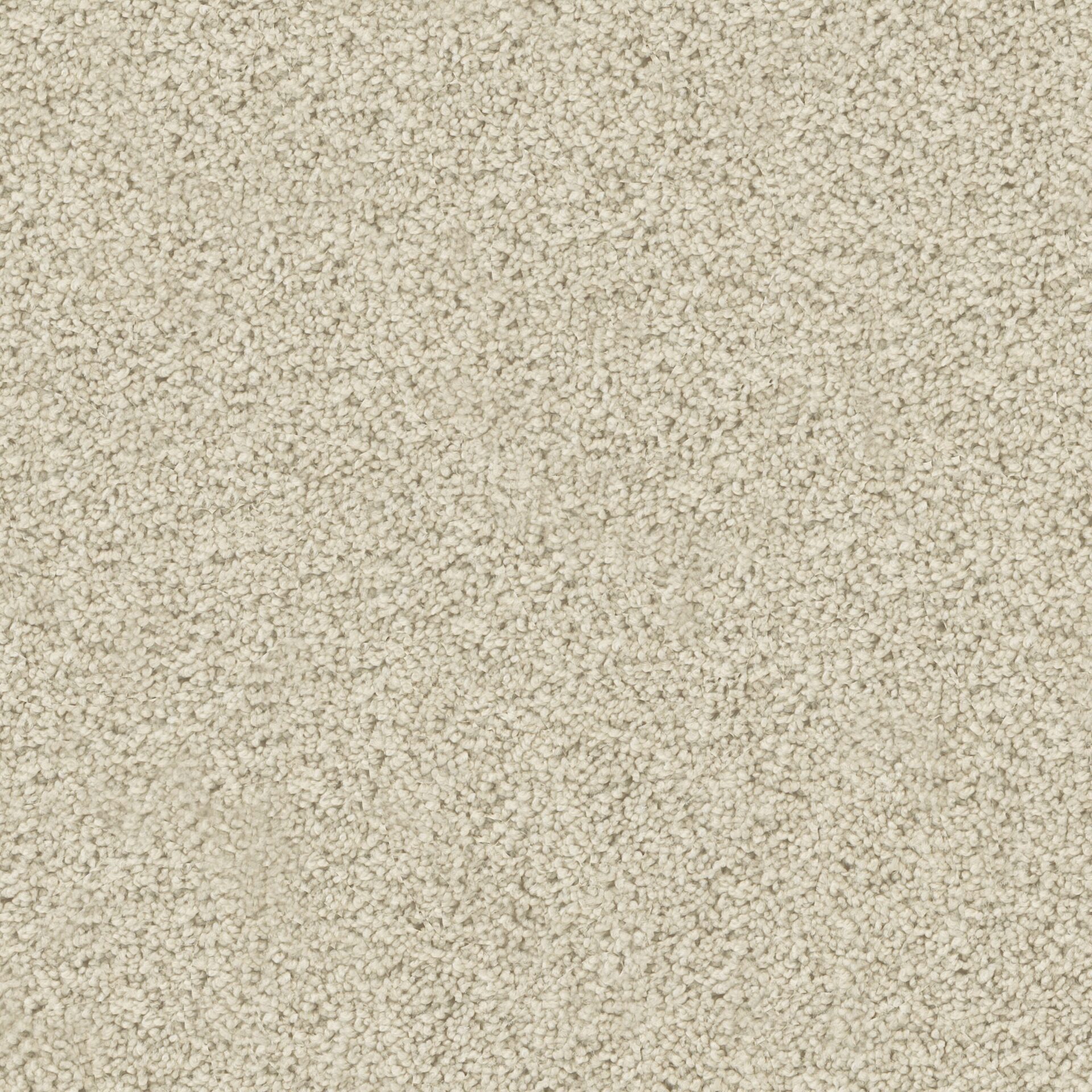 Tuscany by Masland — Carpet flooring · Canadian Flooring & Renovations Vancouver