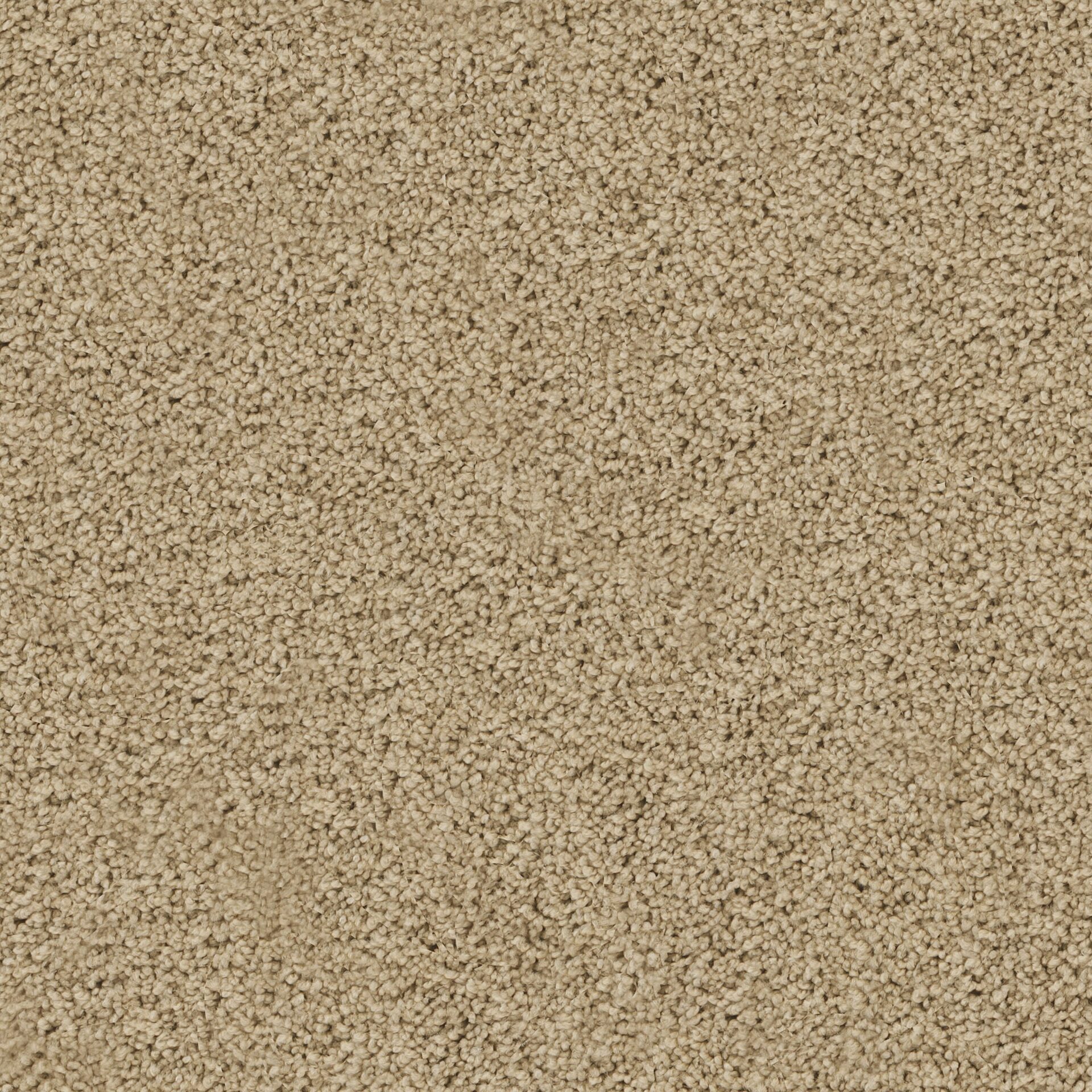 Siena by Masland — Carpet flooring · Canadian Flooring & Renovations Vancouver