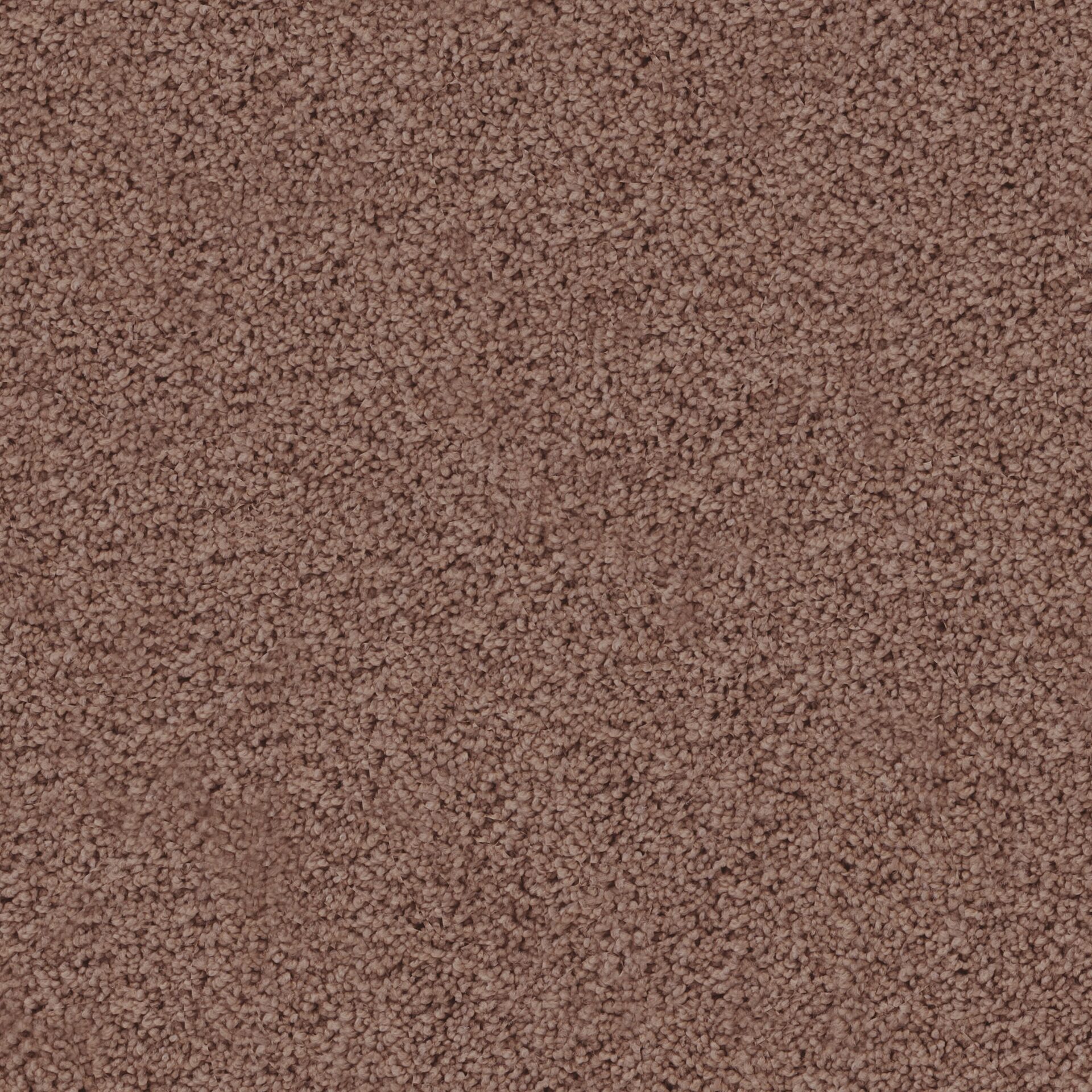 Lucca by Masland — Carpet flooring · Canadian Flooring & Renovations Vancouver