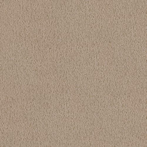 MZ760 — Masland