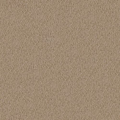 MZ745 by Masland — Carpet flooring · Canadian Flooring & Renovations Vancouver