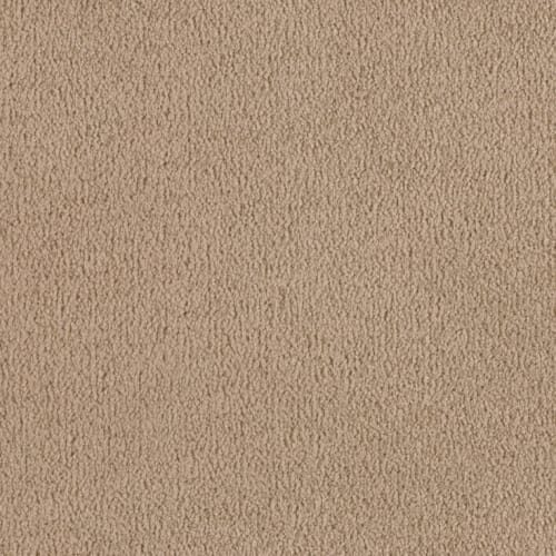 MZ745 — Masland