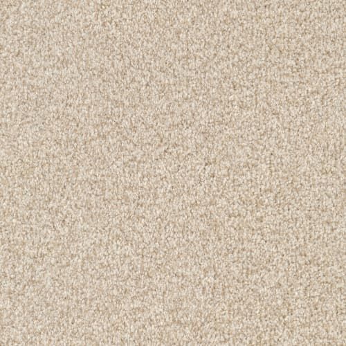 MZ848 by Masland — Carpet flooring · Canadian Flooring & Renovations Vancouver