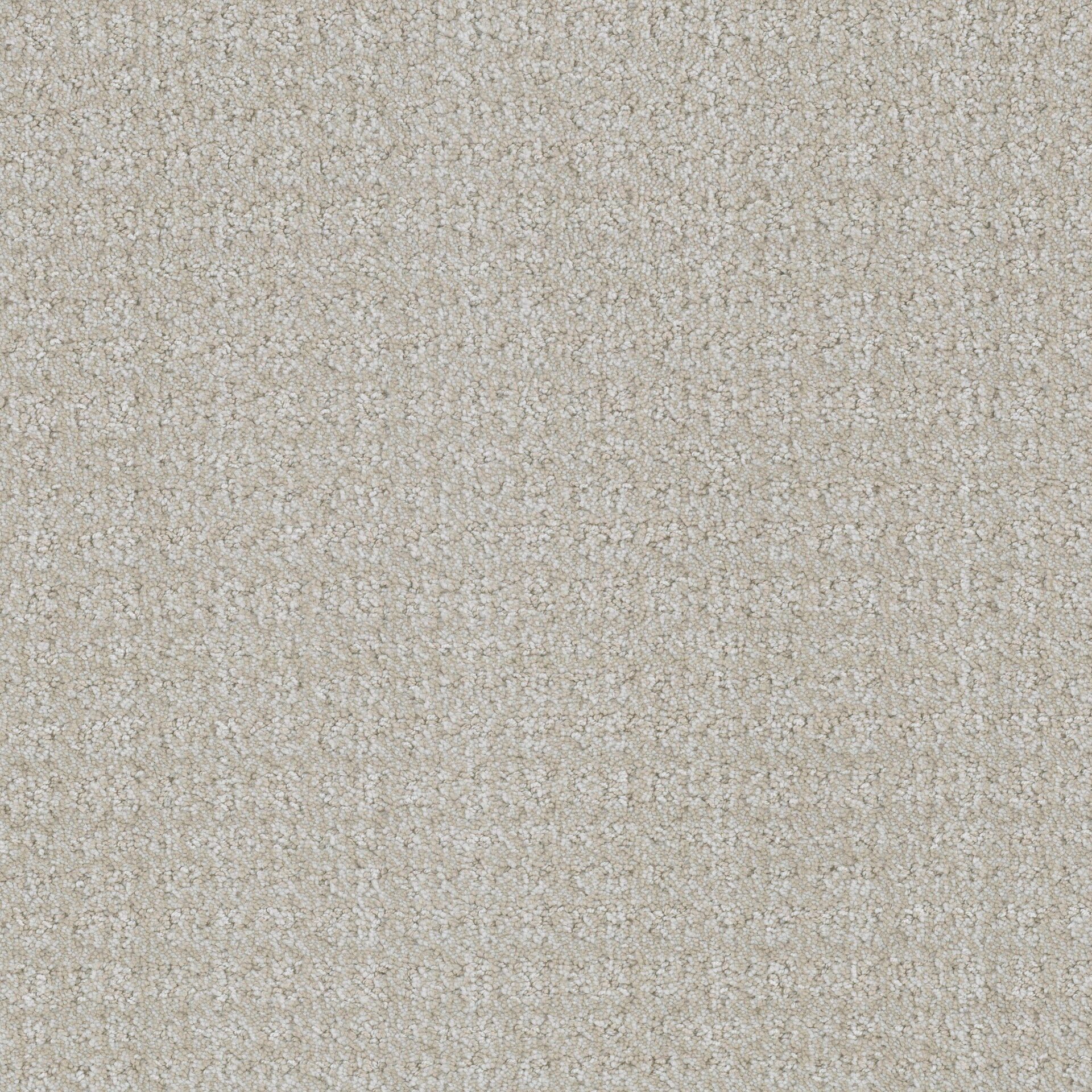 Purebred by Masland — Carpet flooring · Canadian Flooring & Renovations Vancouver