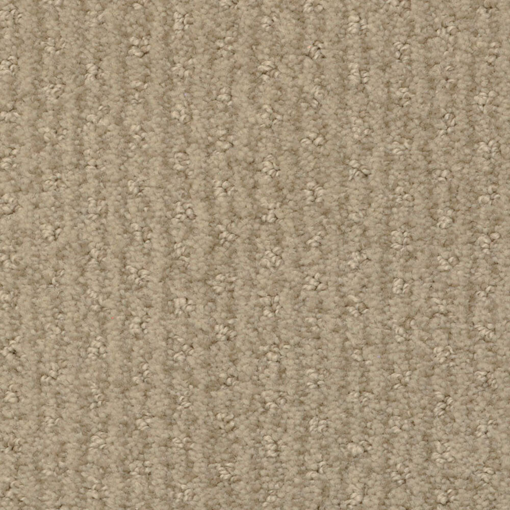 Distinctive Touch - Signature by Masland — Carpet flooring · Canadian Flooring & Renovations Vancouver