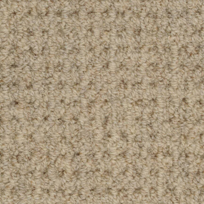 Etchings by Masland — Carpet flooring · Canadian Flooring & Renovations Vancouver