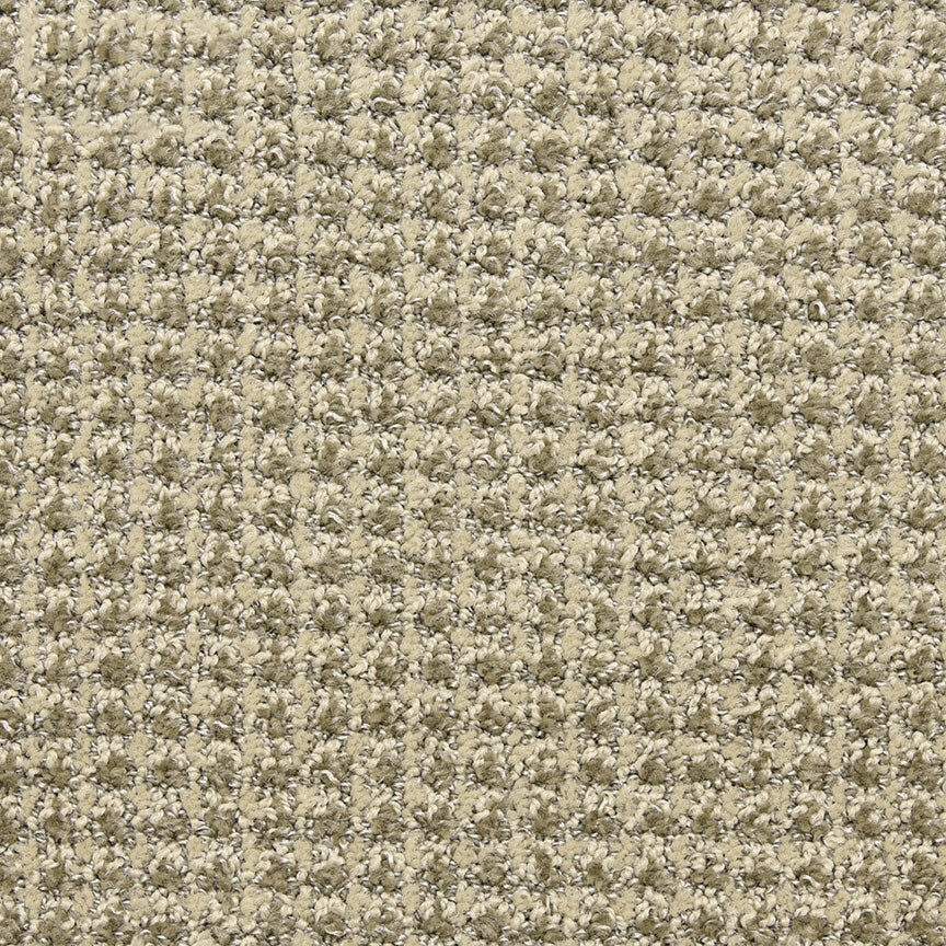 Alpha by Masland — Carpet flooring · Canadian Flooring & Renovations Vancouver