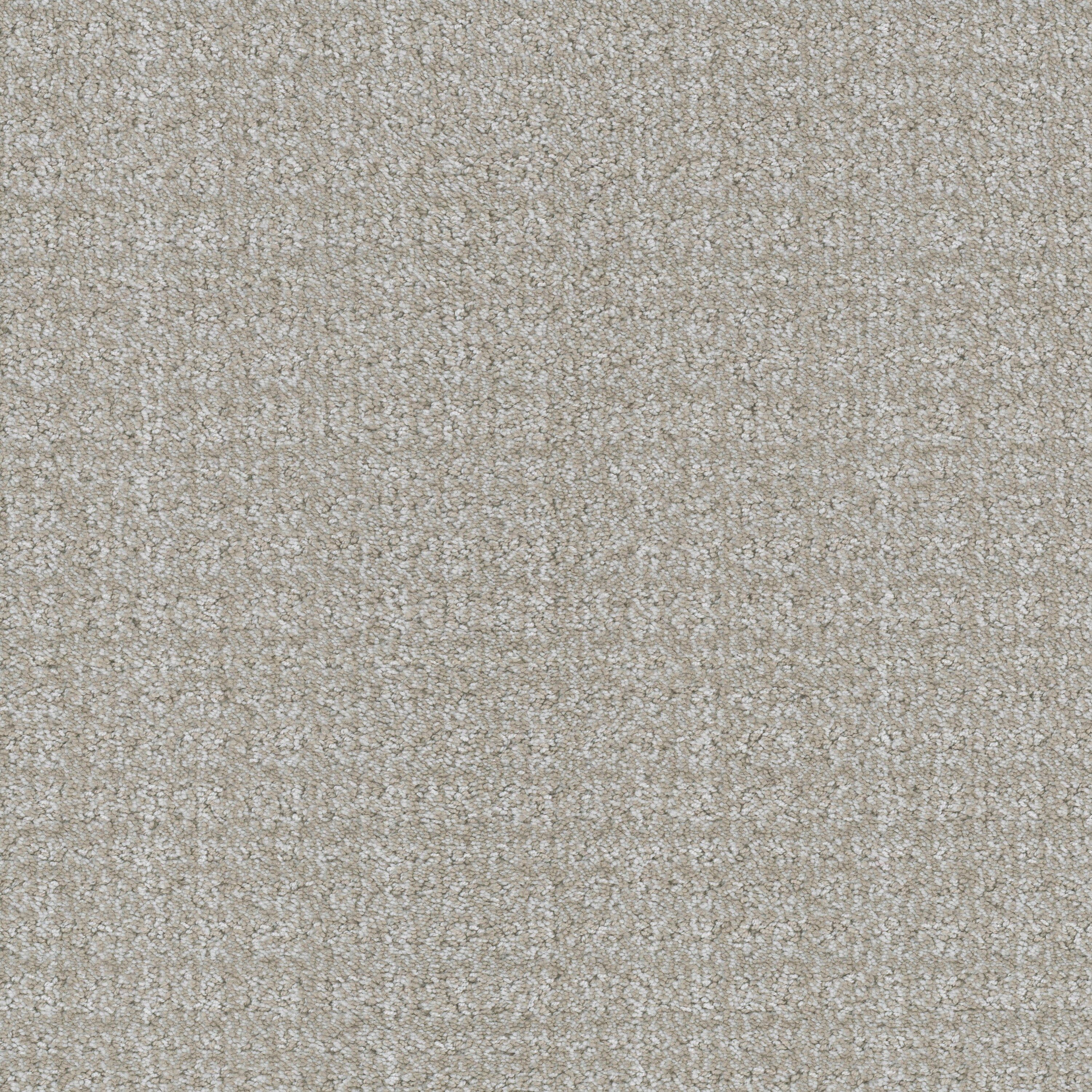 Canine - Signature — Masland