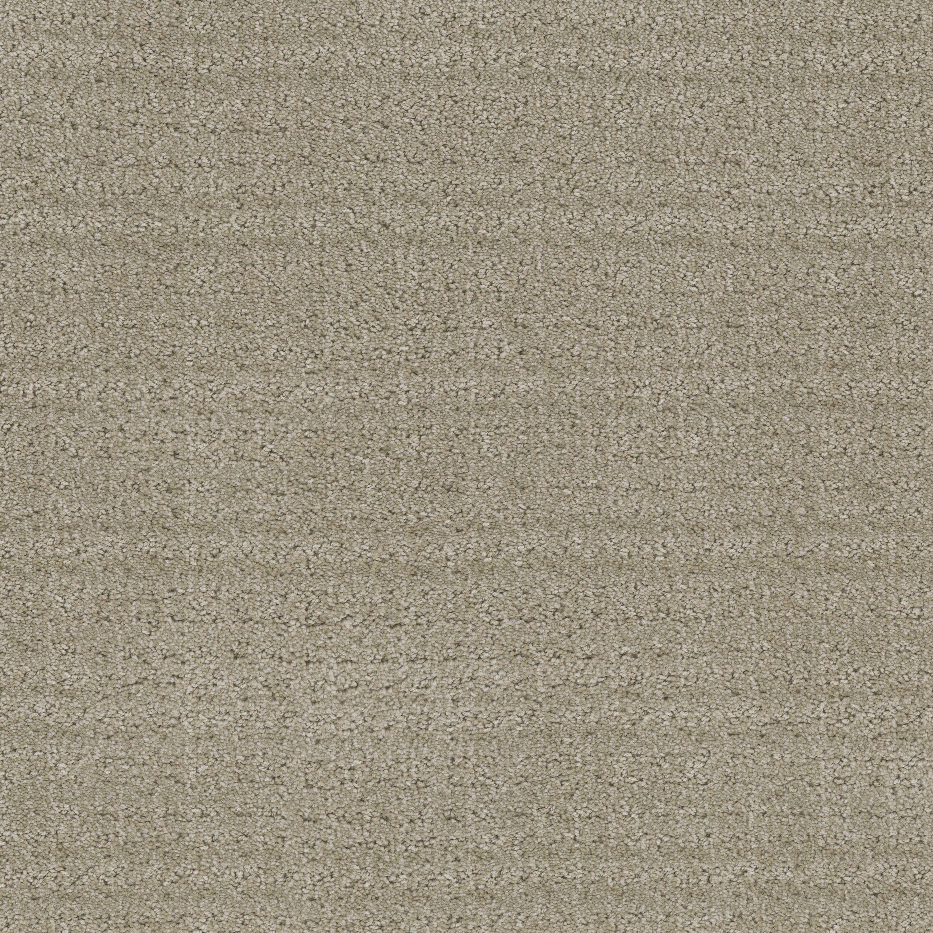 Canine - Signature — Masland
