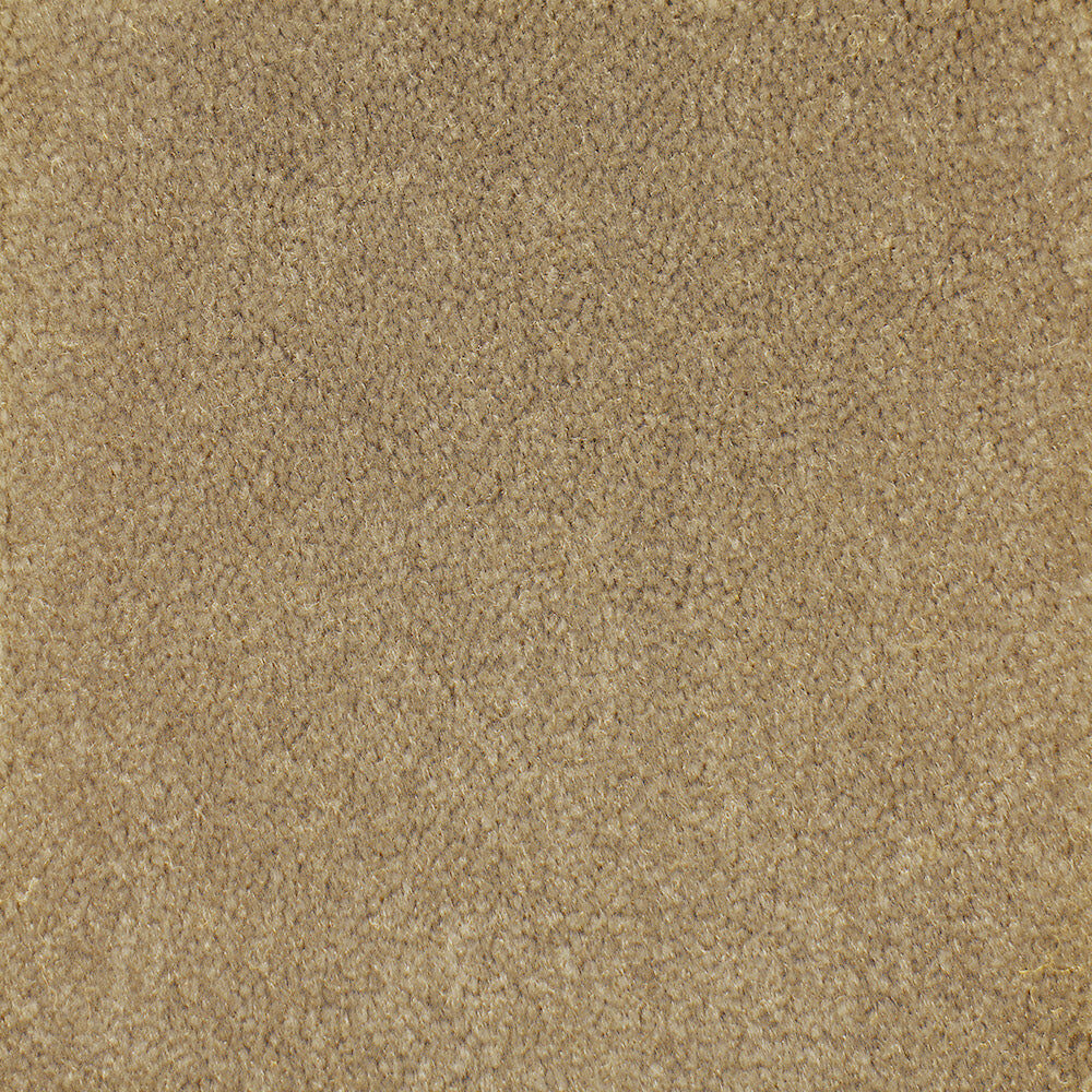Corsini - Signature — Masland