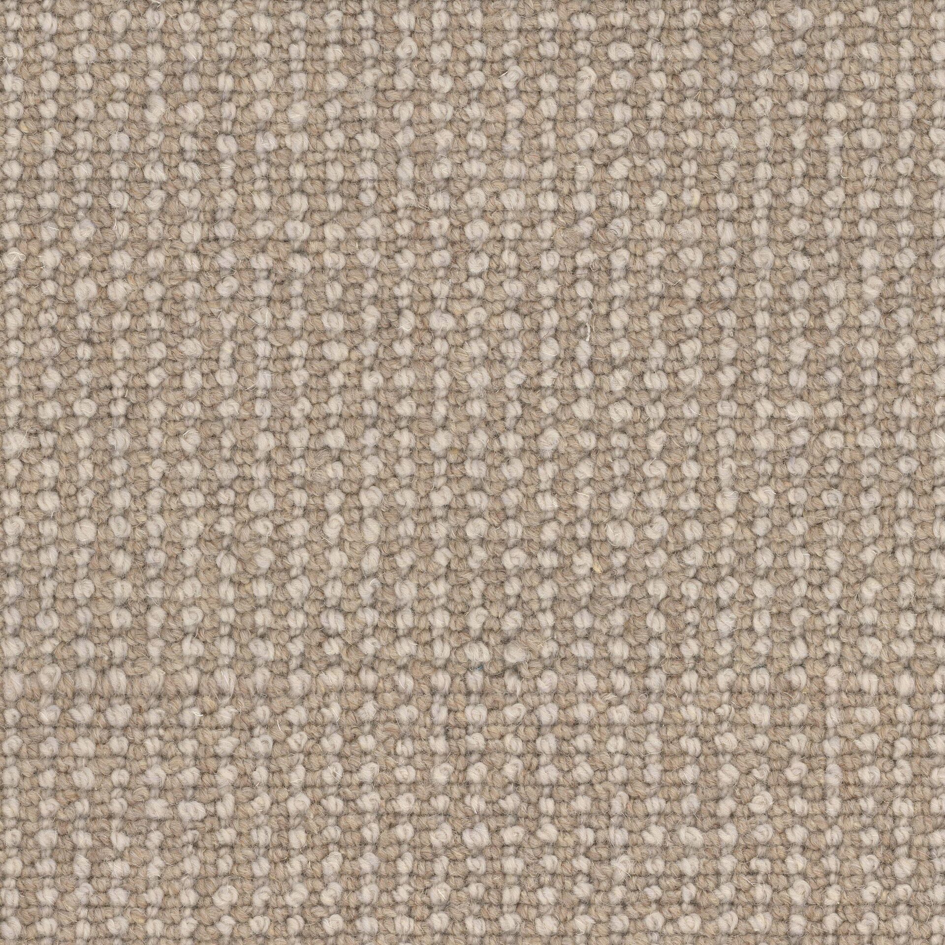 Andros by Masland — Carpet flooring · Canadian Flooring & Renovations Vancouver