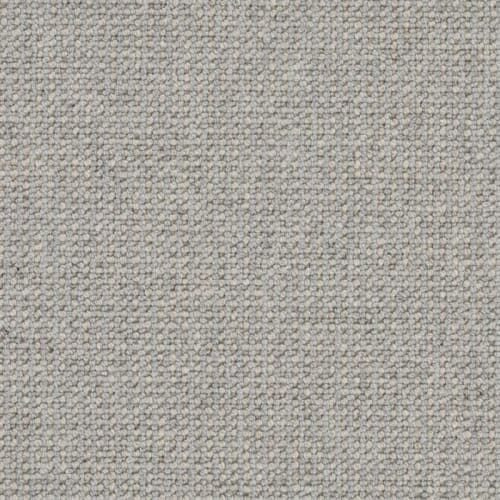 Perception — Masland