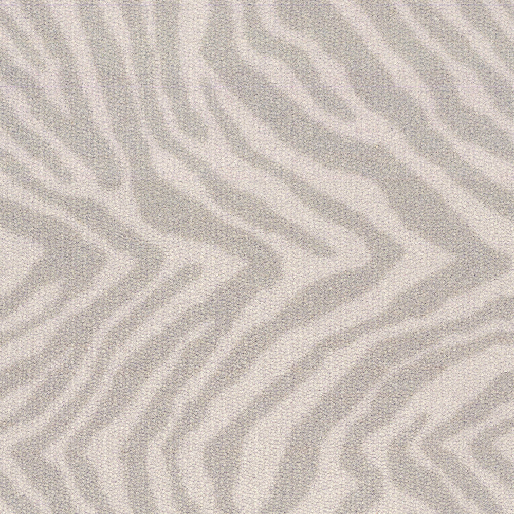 Zebra — Masland