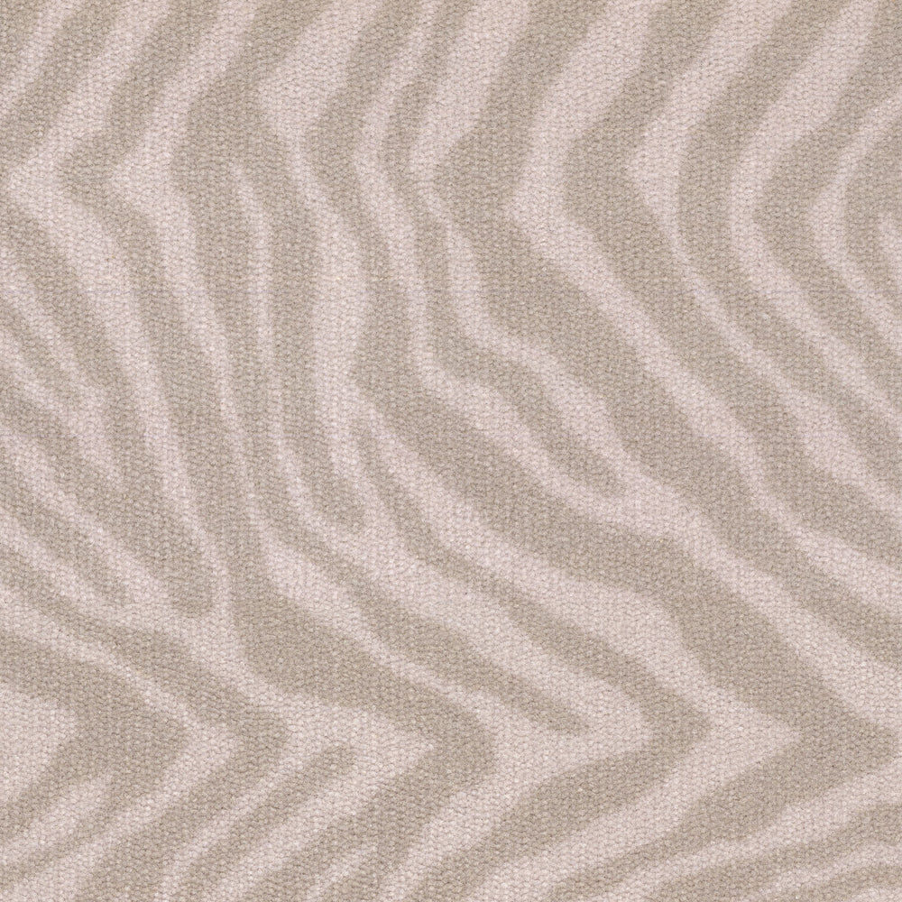 Zebra — Masland