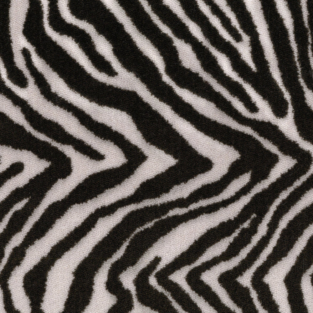 Zebra — Masland