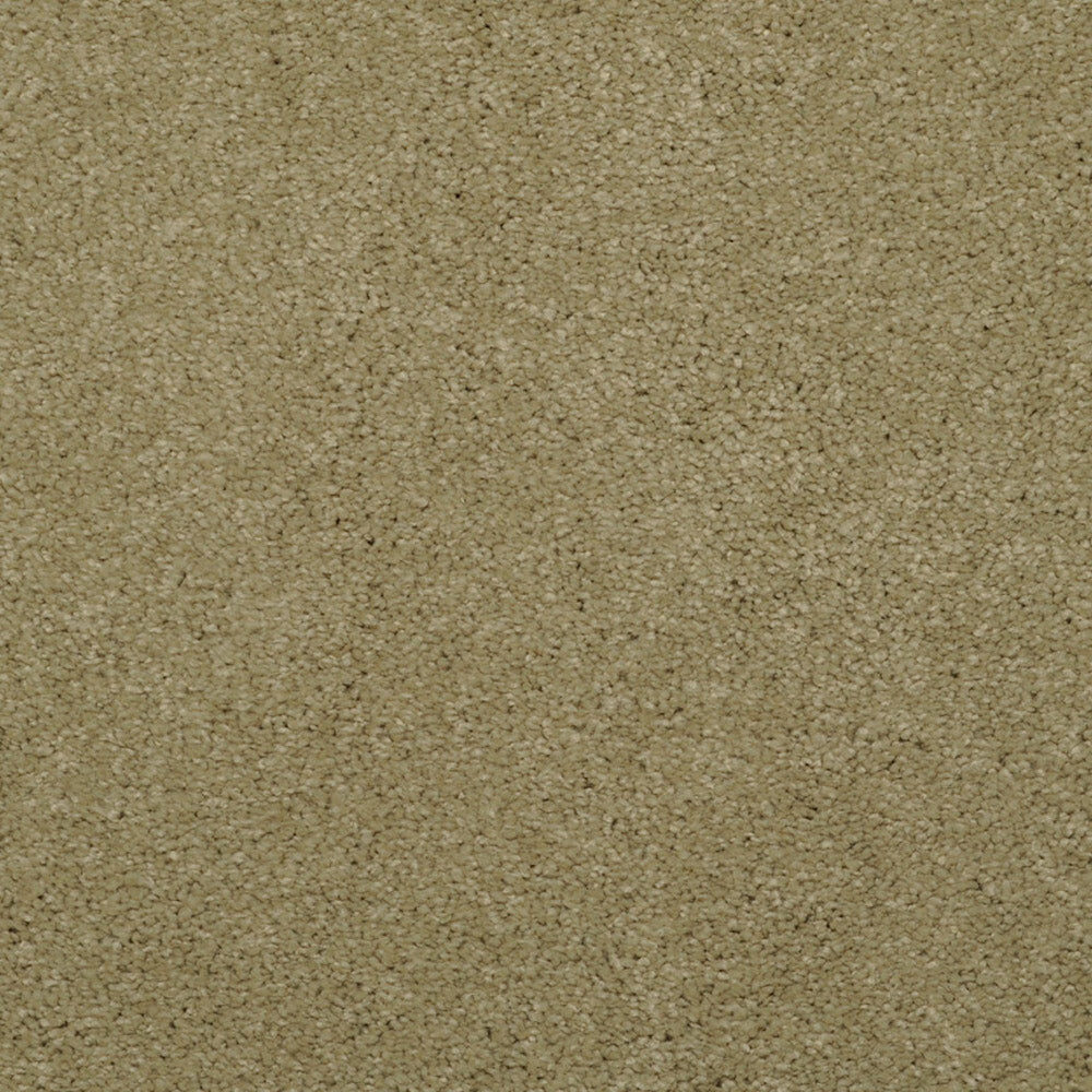 Allegria - Signature — Masland