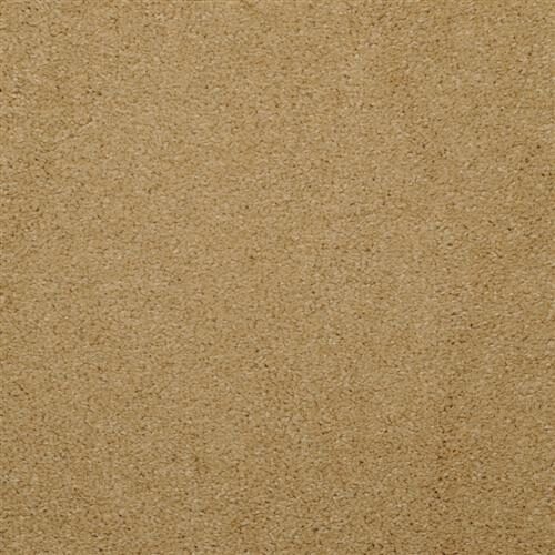 Allegria - Signature — Masland