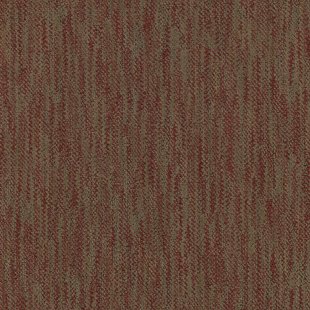 Desert — Masland
