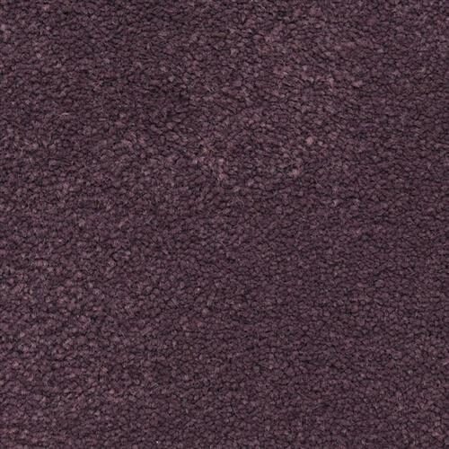 Ravishing — Masland