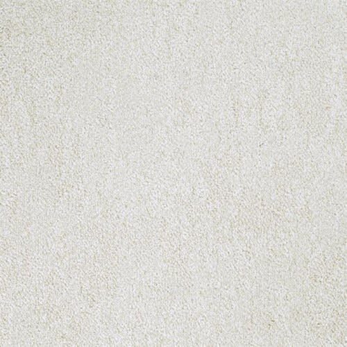 Buena Vida by Masland — Carpet flooring · Canadian Flooring & Renovations Vancouver
